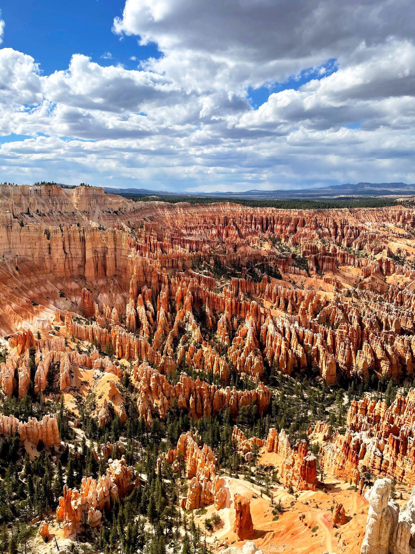 An area of bright, orange hoodoos in Bryce Canyon National Park.
