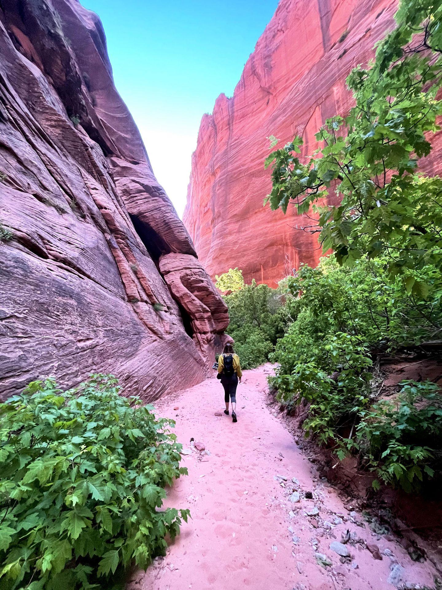 Lydia hiking on pink sand next to an orange cliff in the Kolob Canyons area of Zion National Park.