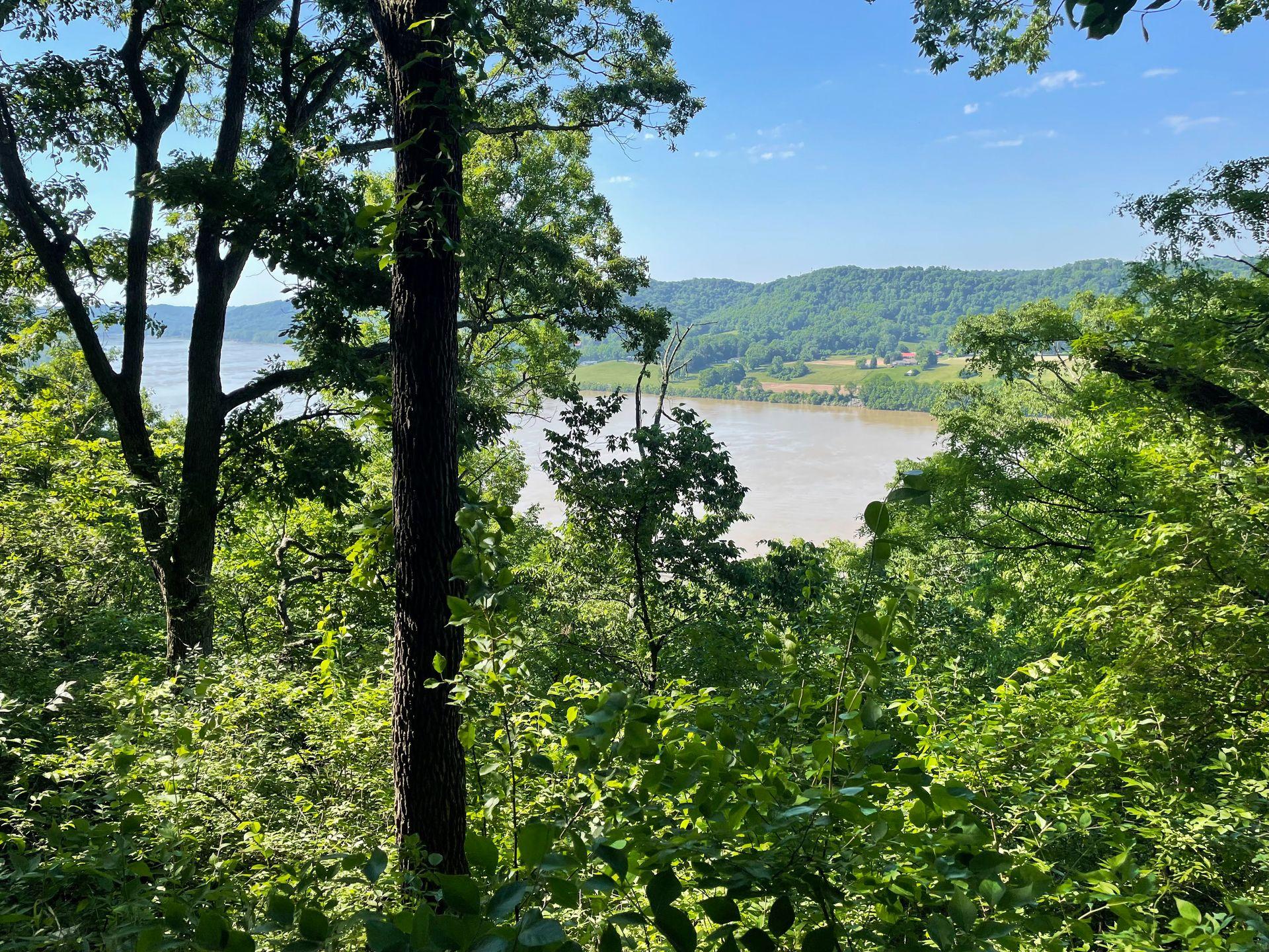 A view of the Ohio River through some trees from the top of Bender Mountain