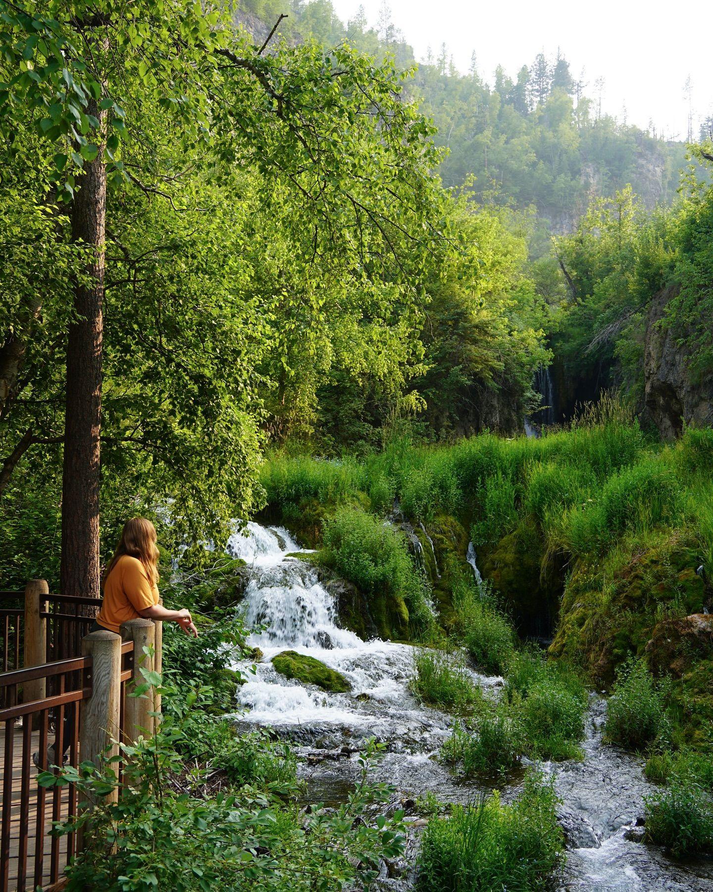 ✨Scenes from the Black Hills in South Dakota✨