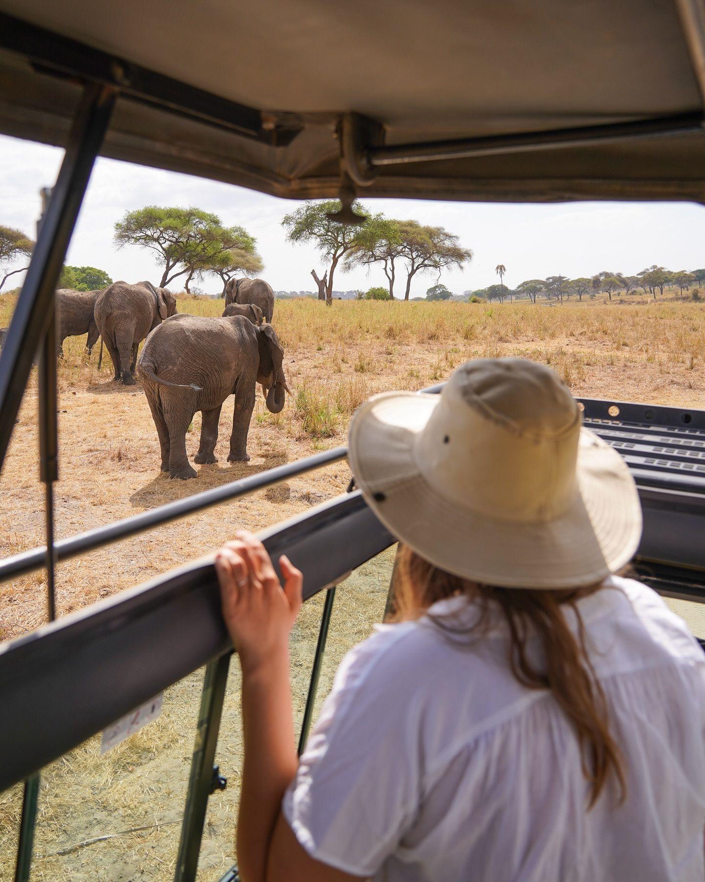 Is an African safari on your bucket list? 🦒🐘🦁