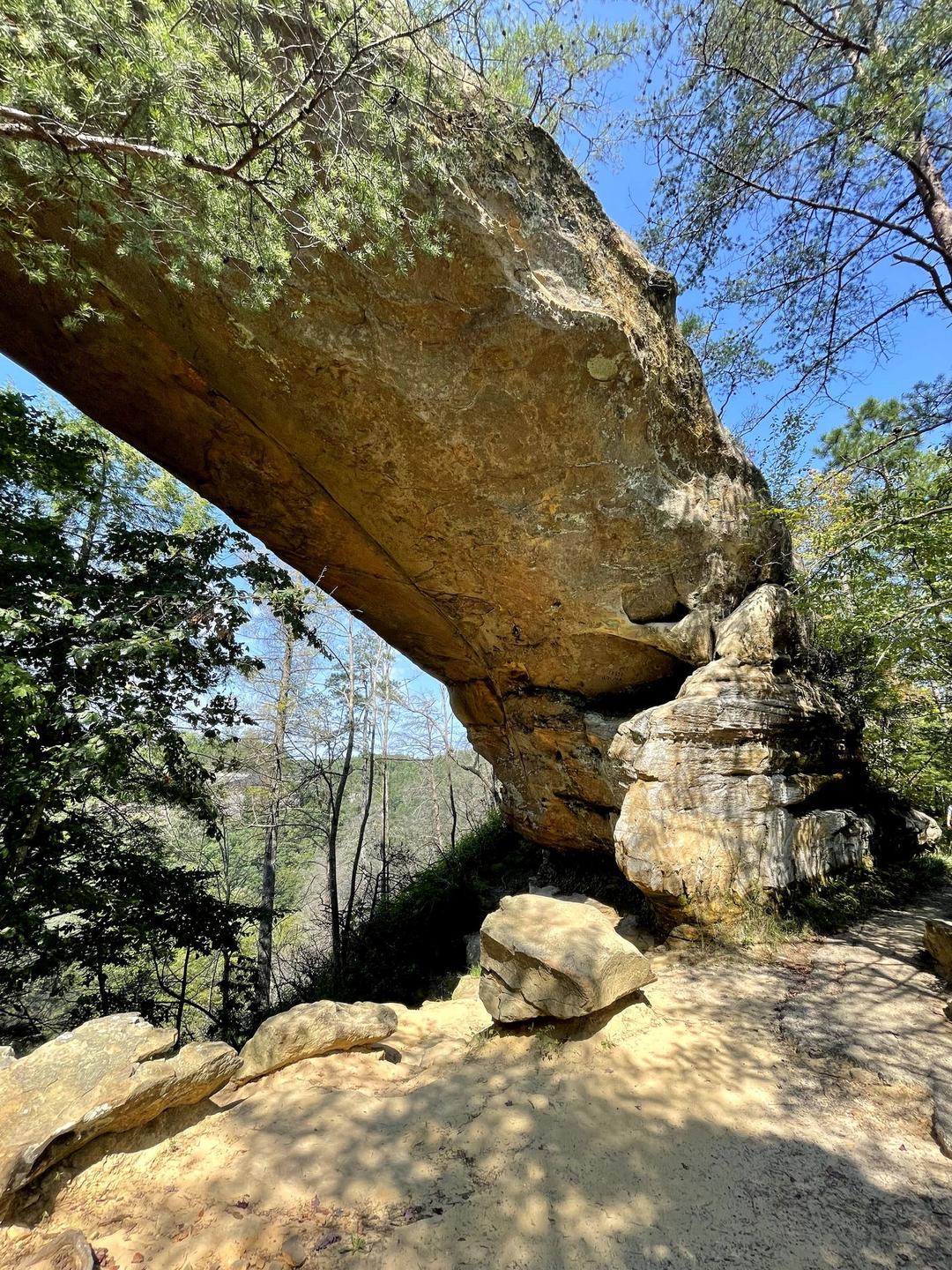 The Best Things To Do in Red River Gorge, KY: Hiking, Food and More