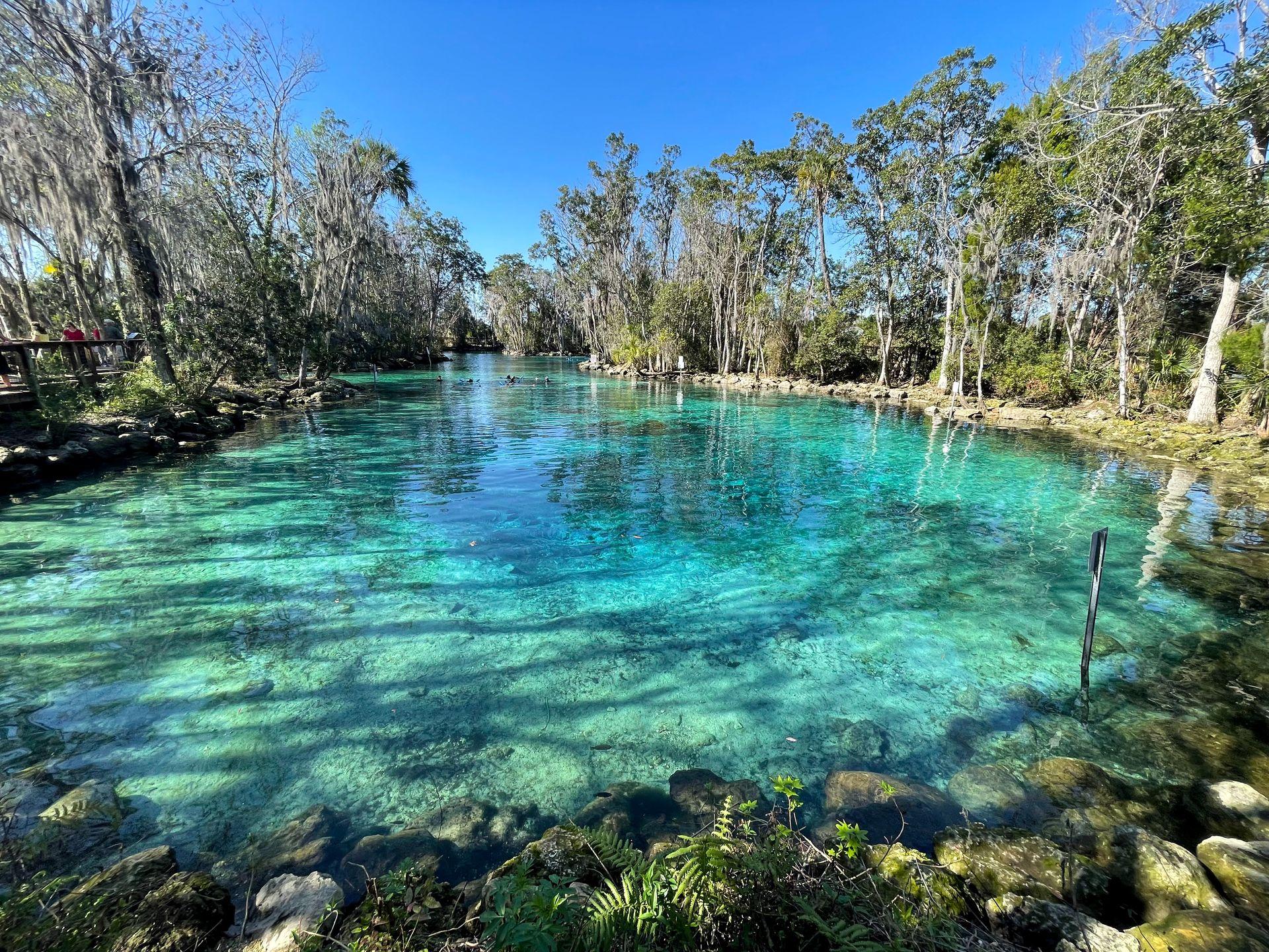 Things To Do in Crystal River, Florida: Swim and Paddle with Manatees