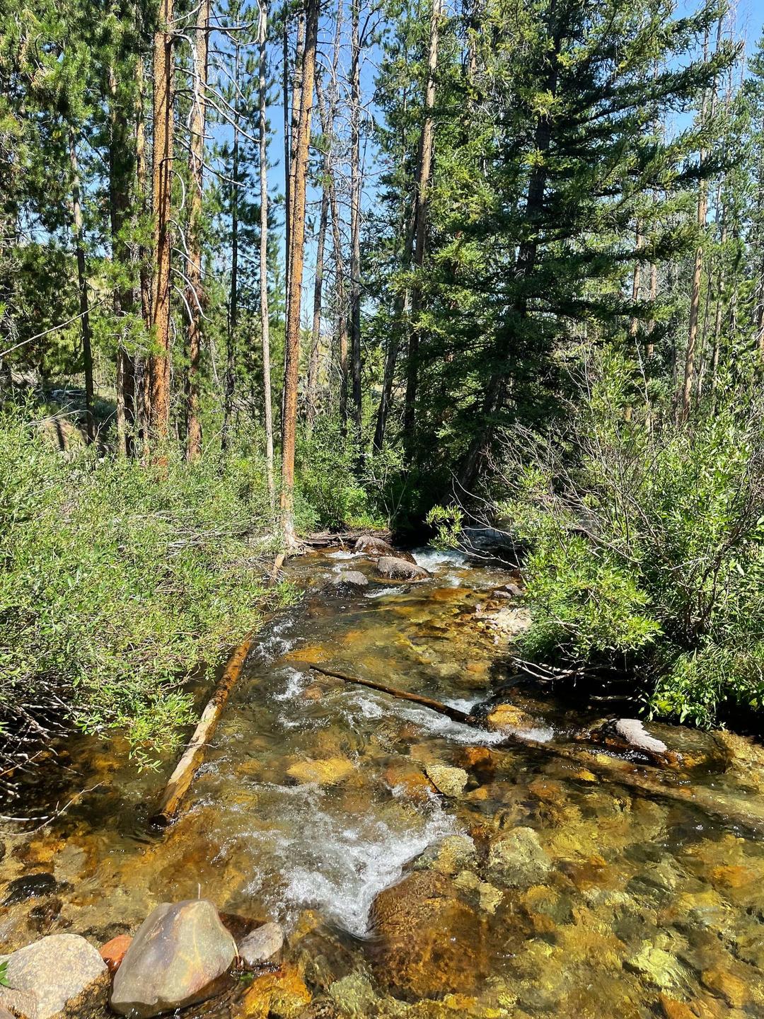 The Best Things To Do in Stanley, Idaho: Hiking, Hot Springs & More