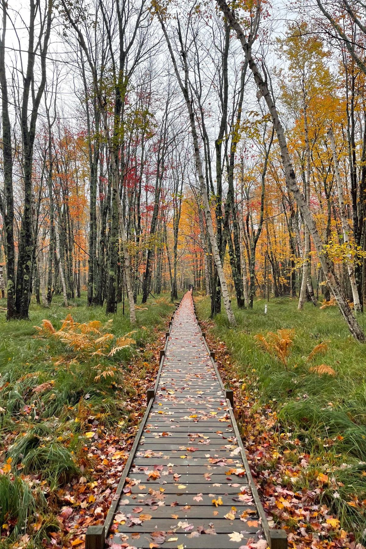 The 14 Best Hiking Trails in Acadia National Park (Plus Helpful Tips!)