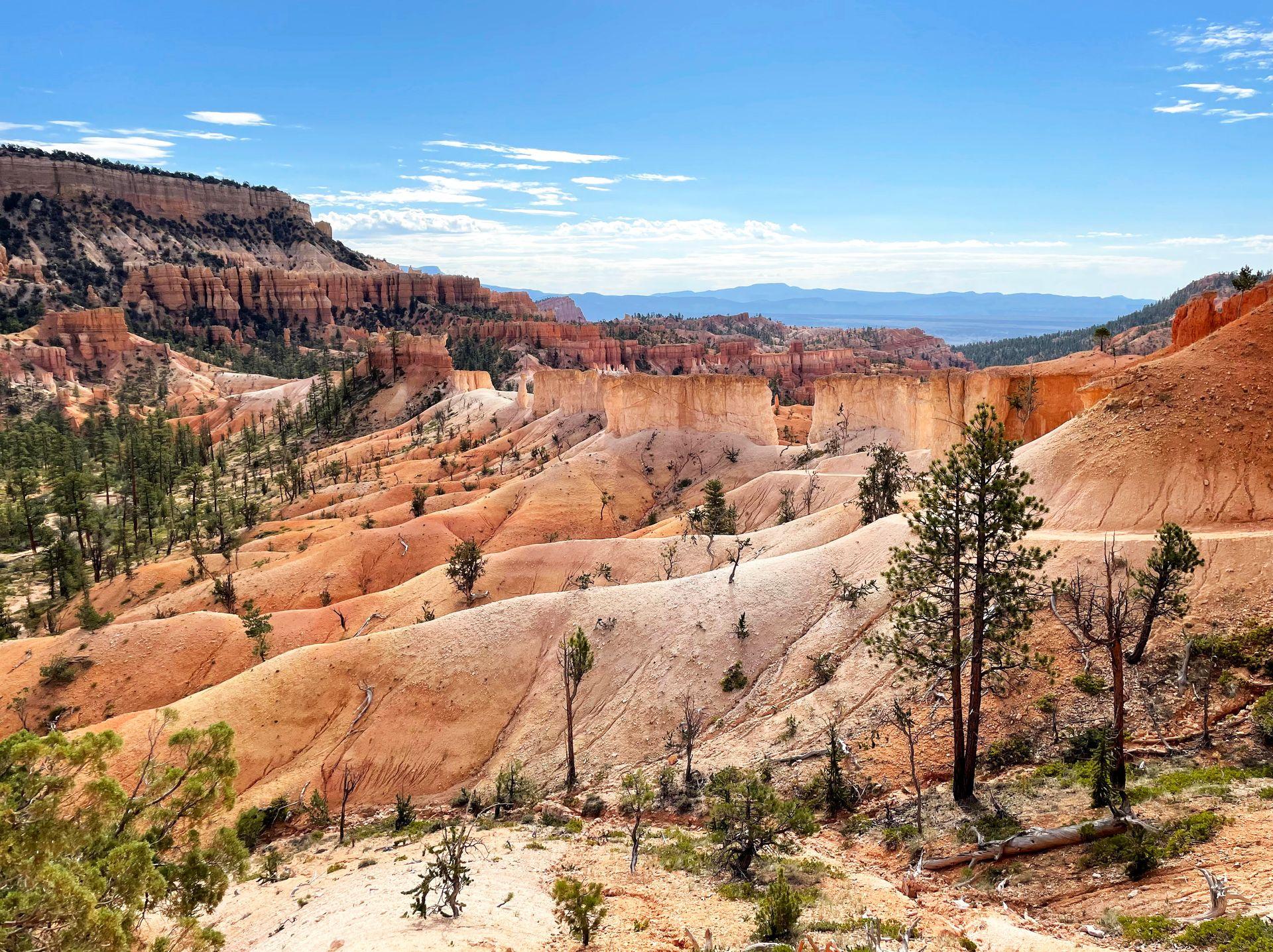 A view of orange rocks and hoodoos on the Fairyland Loop trail. The closer rocks are much smoother, meaning that the erosion is newer in this area of the park.