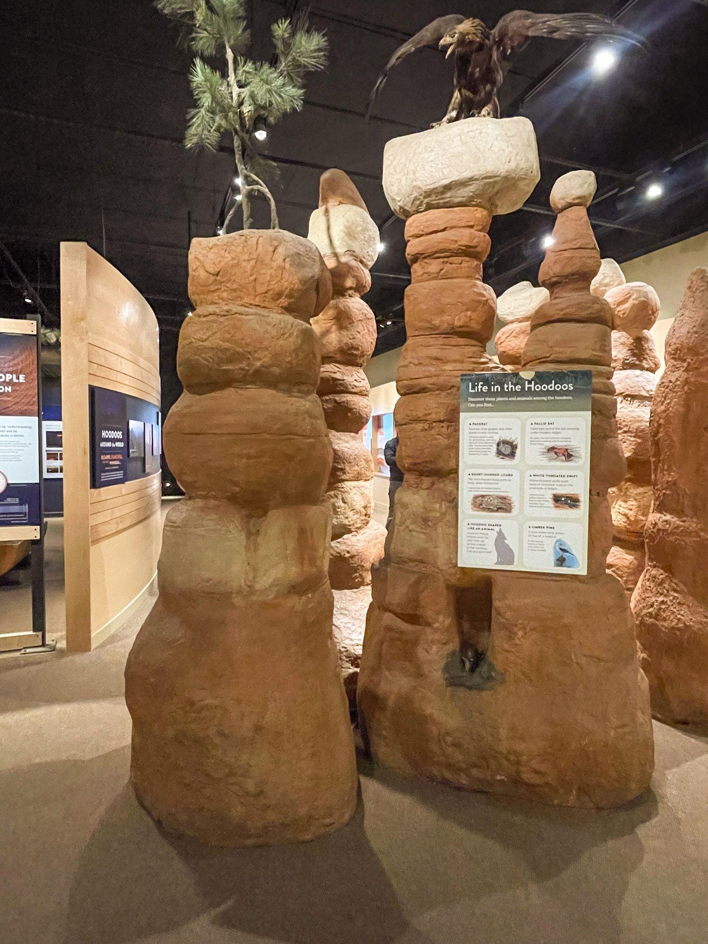A display of large hoodoos with a sign that reads 'Life in the Hoodoos' in the Bryce Canyon Visitor Center