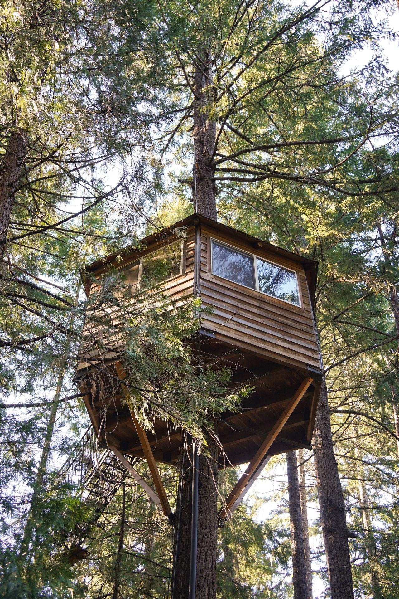 Looking up at a suspended cabin on a tree
