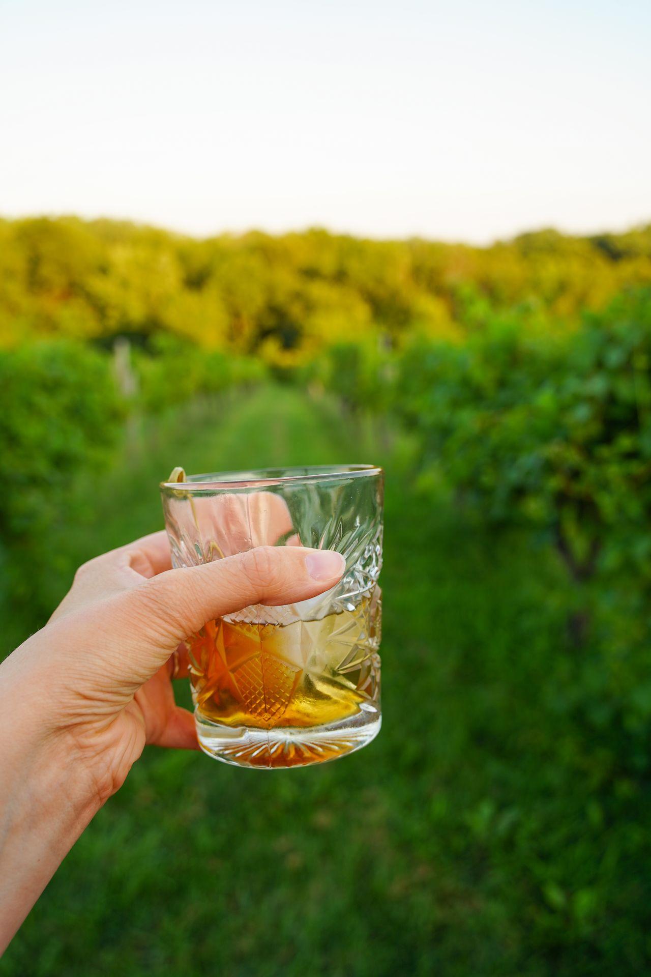 A cocktail in front of a rolling hills at Cedar Ridge Distillery