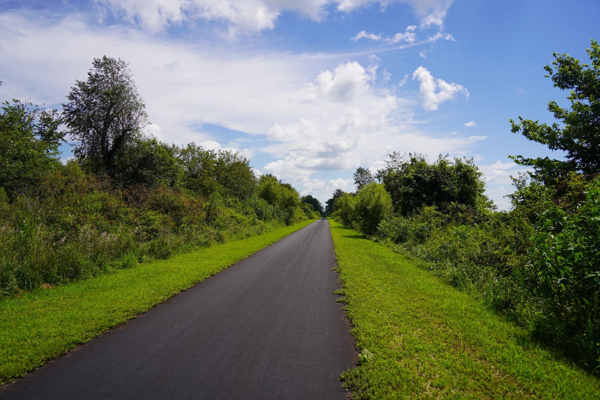 A paved path surrounded by some green grass and trees.