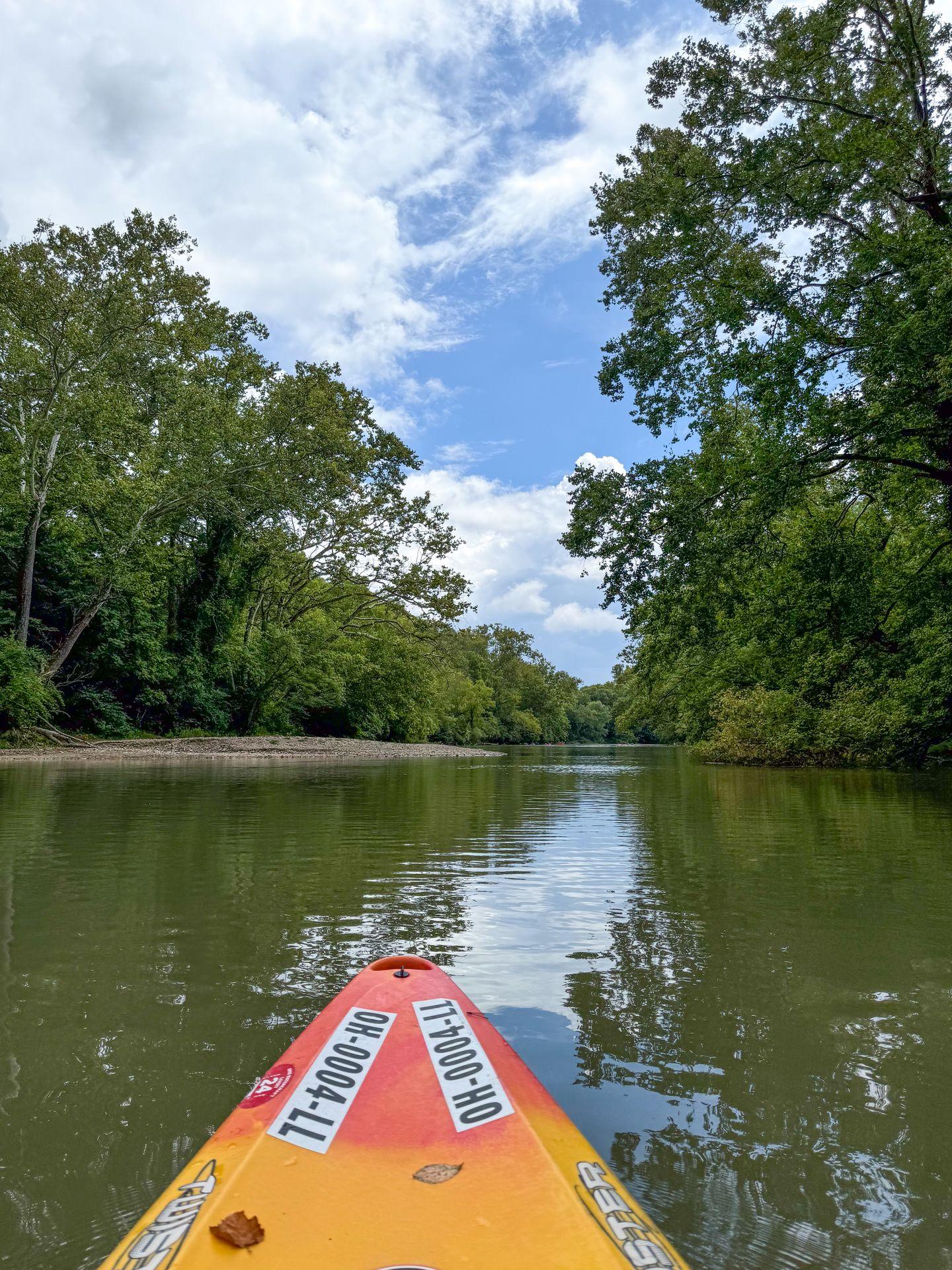 Looking ahead from a kayak on the Little Miami River