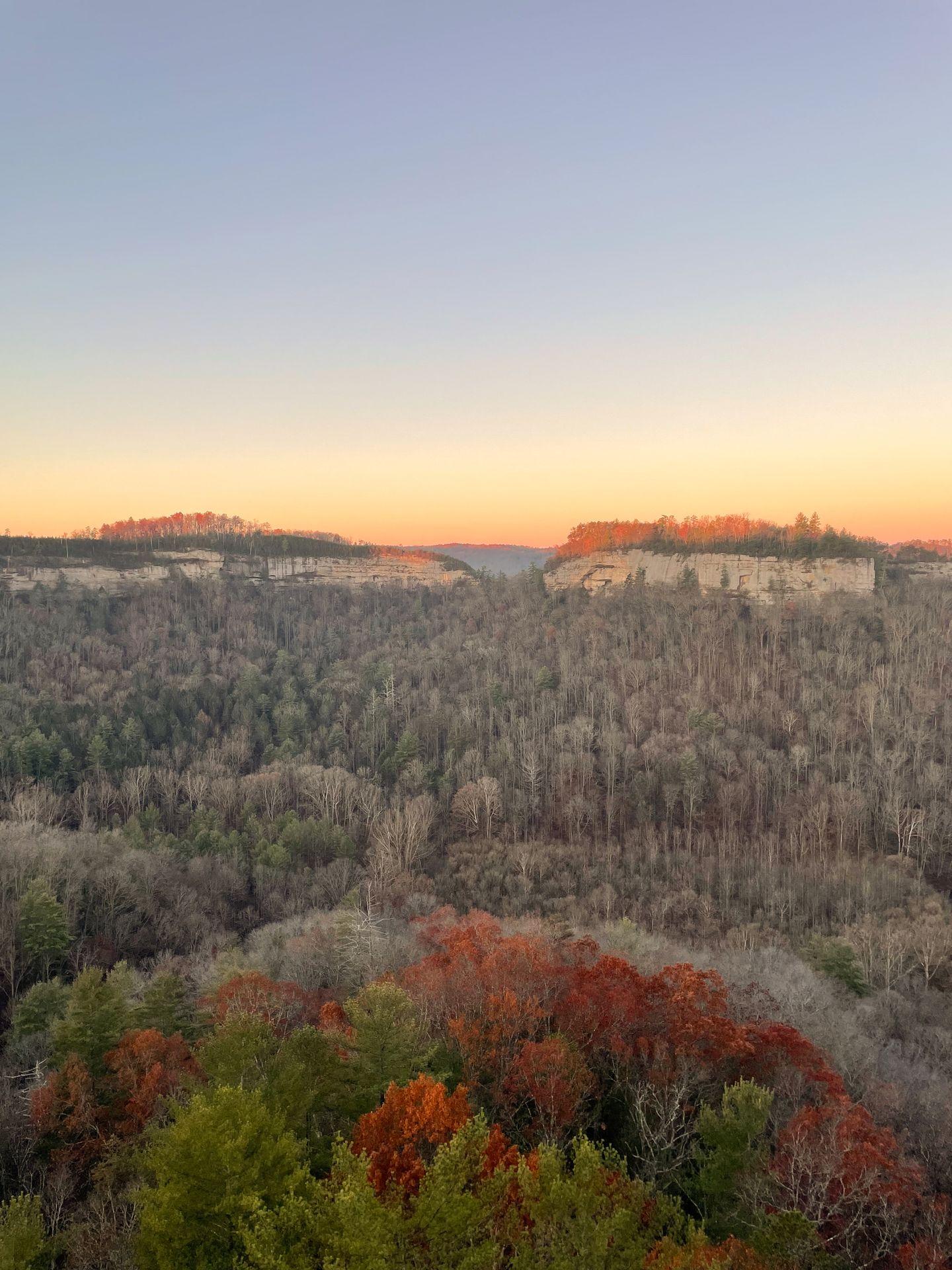 A large valley with cliffs in the distance. The sky is glowing at sunrise and there is a bit of fall foliage, but most leaves have already fallen