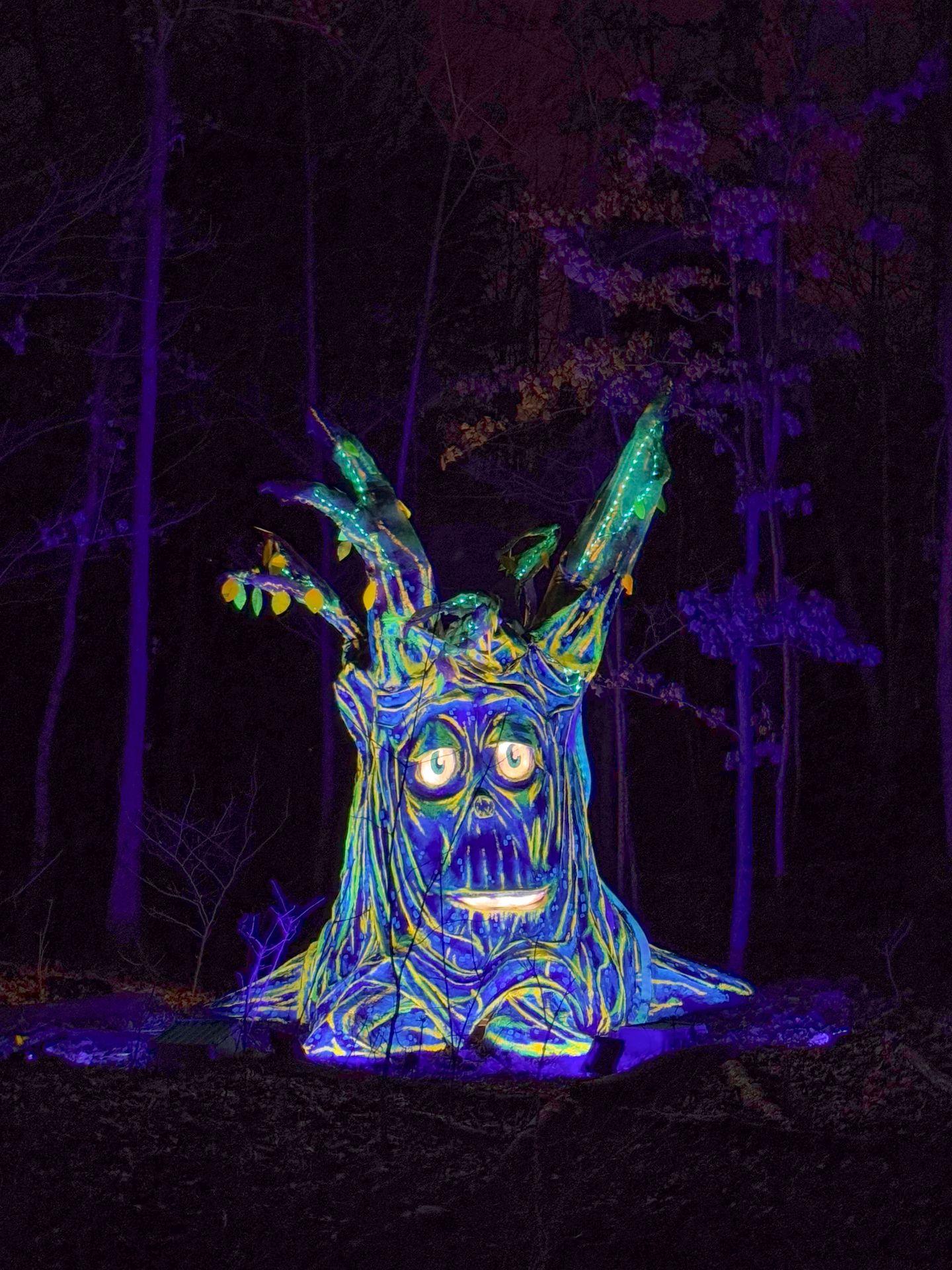 A tree that is lit up with a face and neon colors during a holiday light event at the Cincinnati Nature Center