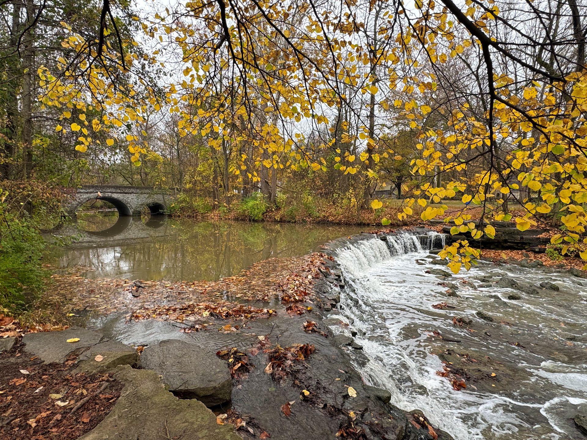 A view of a waterfall with a stone bridge in the distance, and yellow leaves in the foreground