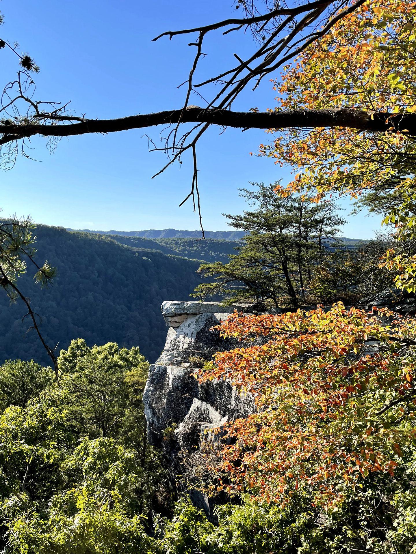 A rock formation on the Endless Wall trail. There is an area of yellow foliage in front of the rock.