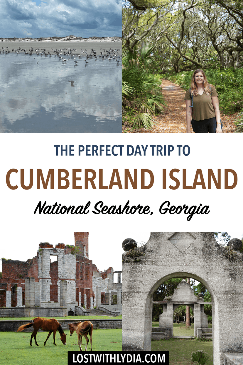 Use this guide to plan an epic day trip to Cumberland Island! Learn about hiking, the feral horses, the history and more.