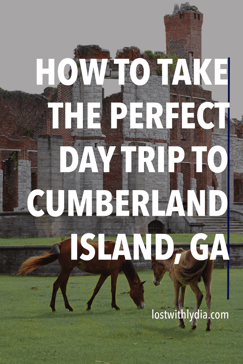 Use this guide to plan an epic day trip to Cumberland Island! Learn about hiking, the feral horses, the history and more.