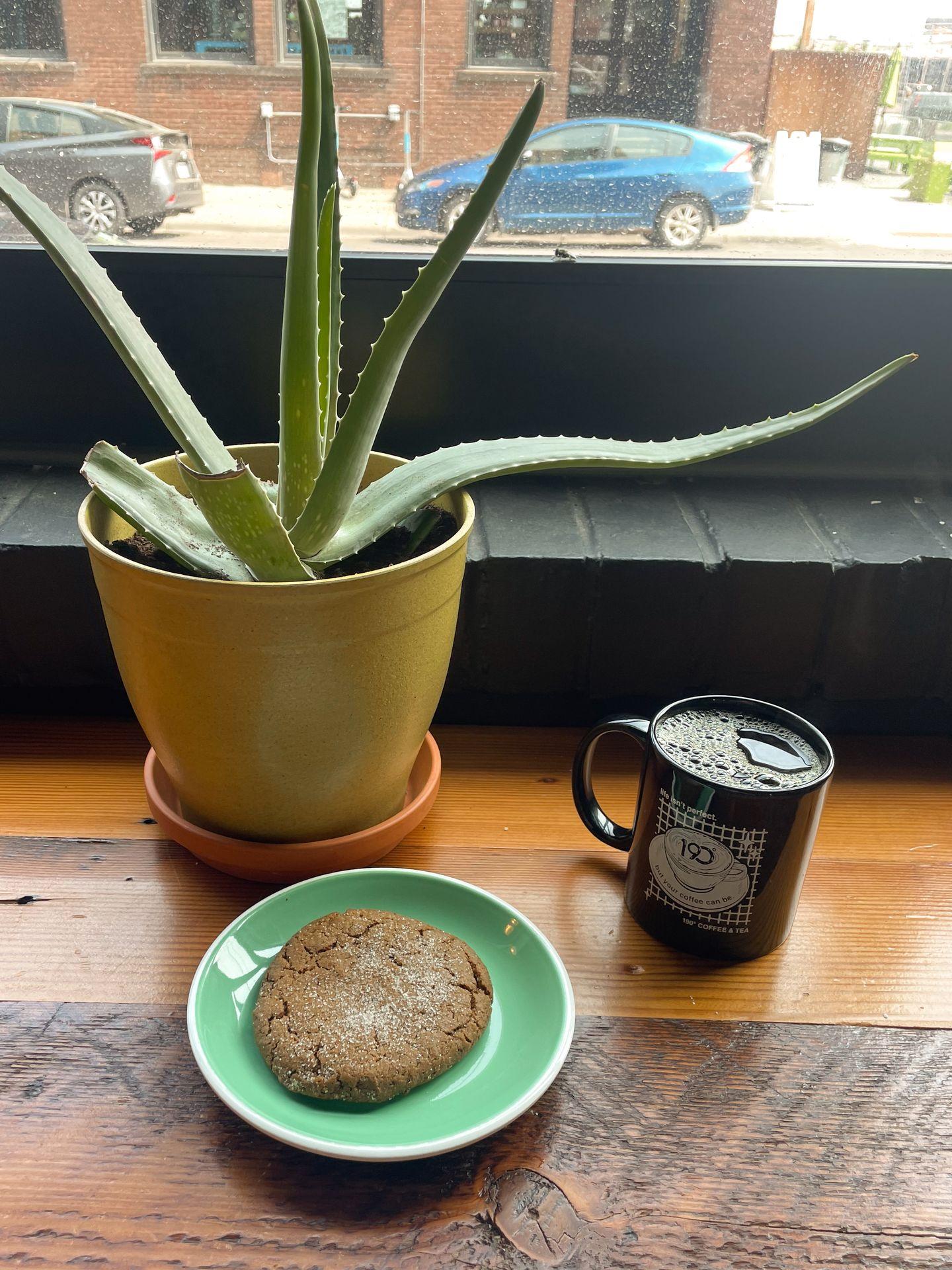 A cup of coffee, a cookie and a plant next to a window inside 190° Coffee And Tea