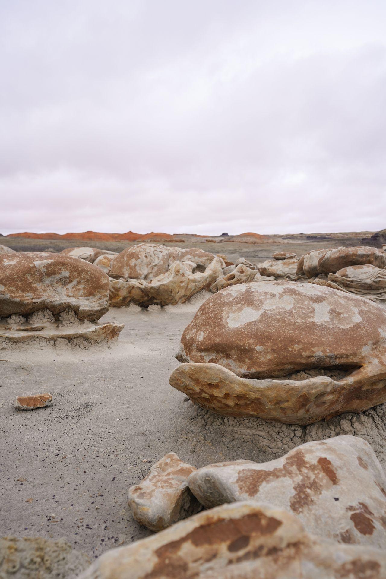 Rocks that resemble cracked eggs in the Bisti Badlands