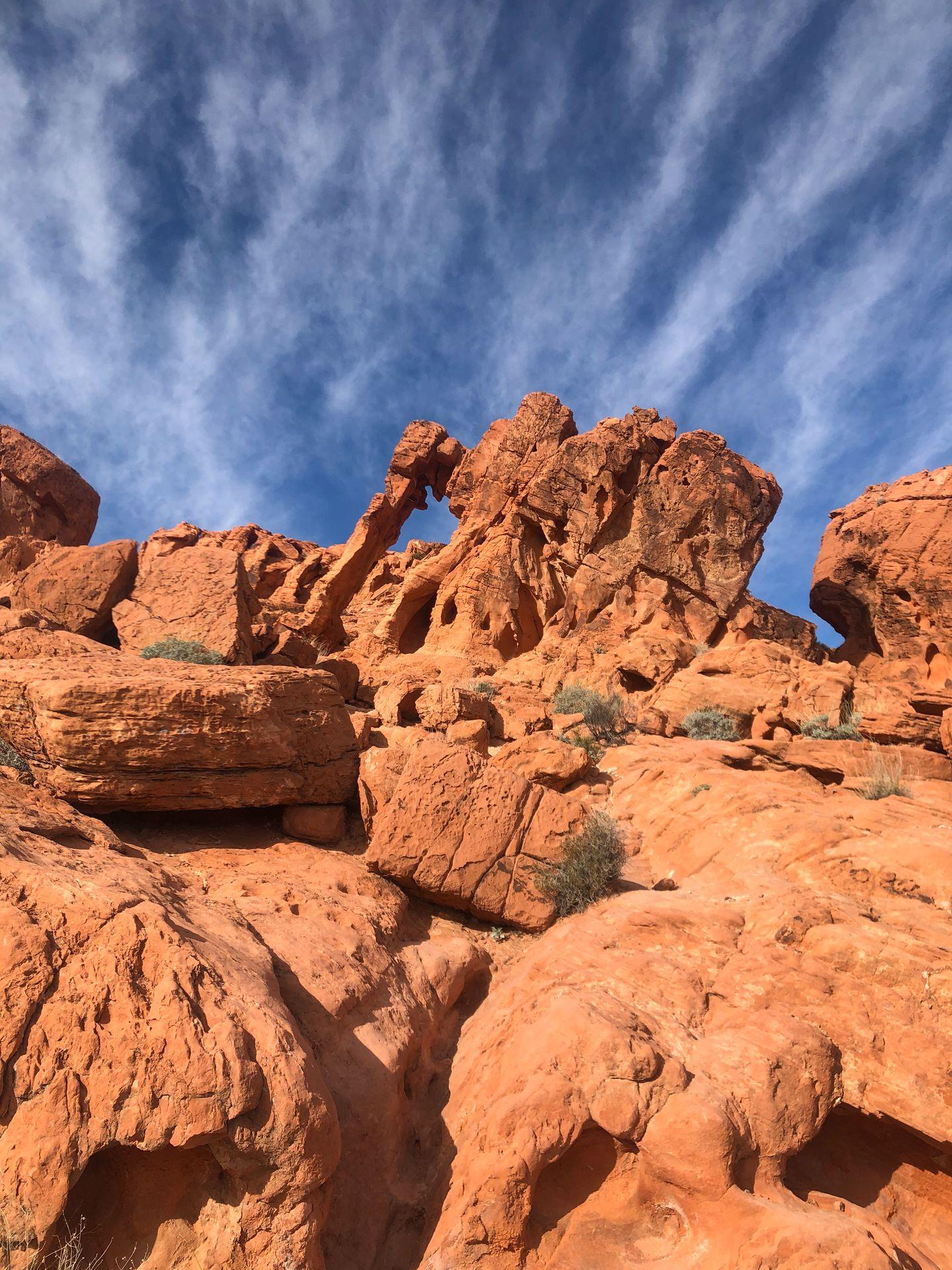 An orange rock that resembles an elephant in Valley of Fire State Park