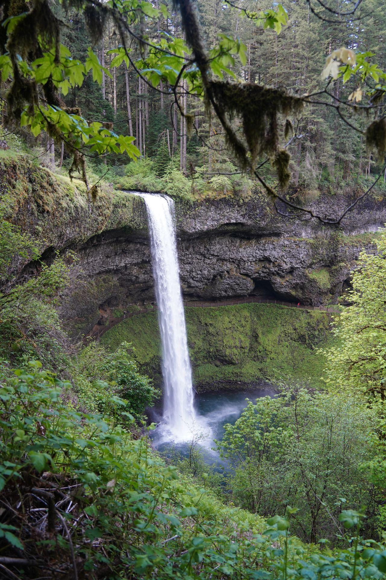 A tall waterfall glowing over a cliff face and into blue water. There is greenery and mossy trees in the foreground