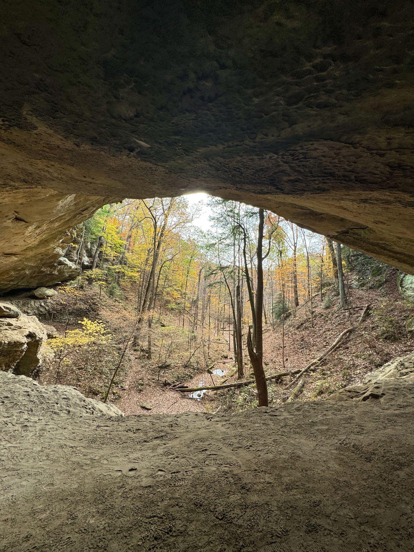 Looking out from the cave at some fall foliage on the Hemlock Cliffs trail