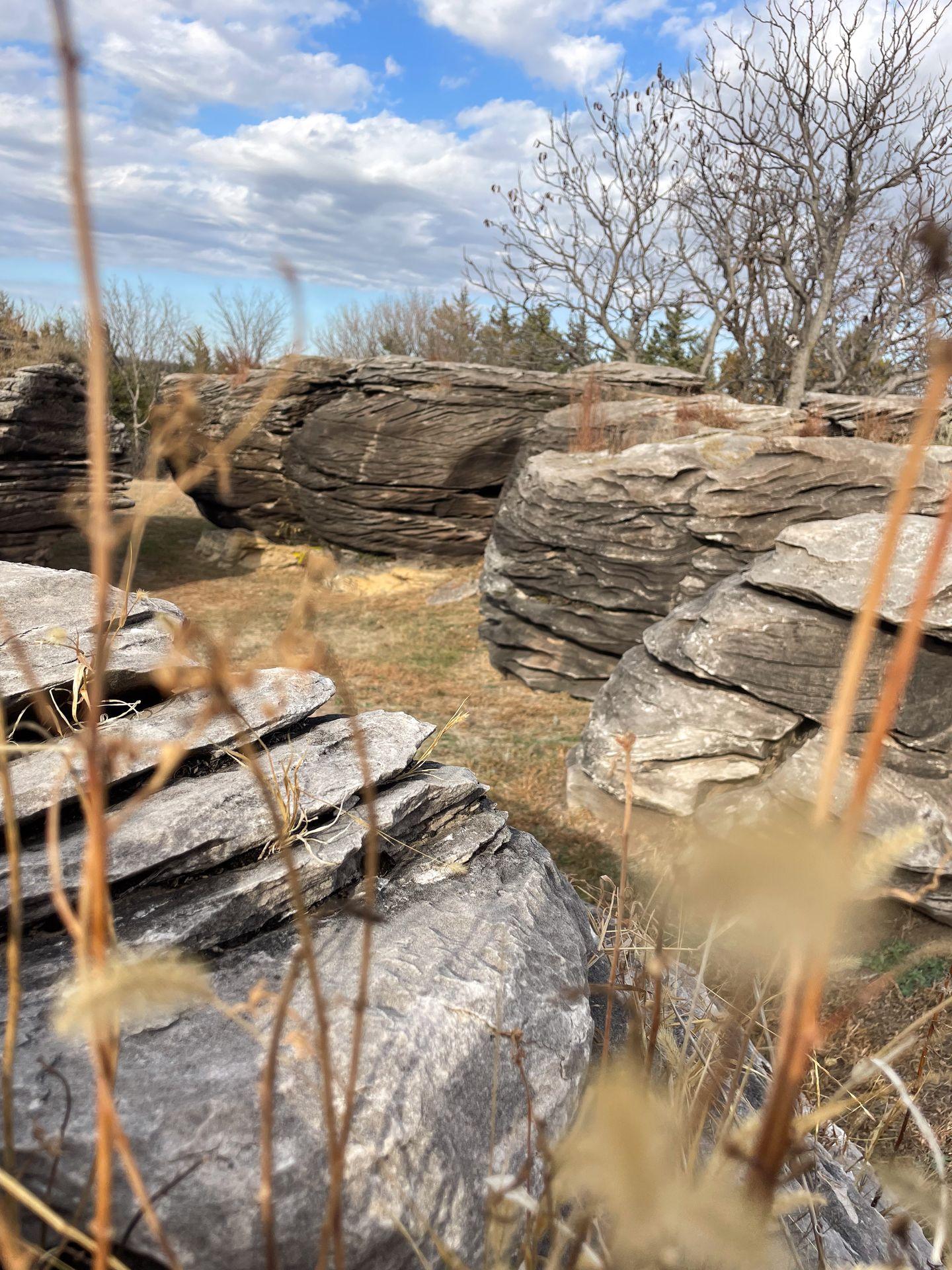 Looking at rocks at Rock City through blades of yellow grass