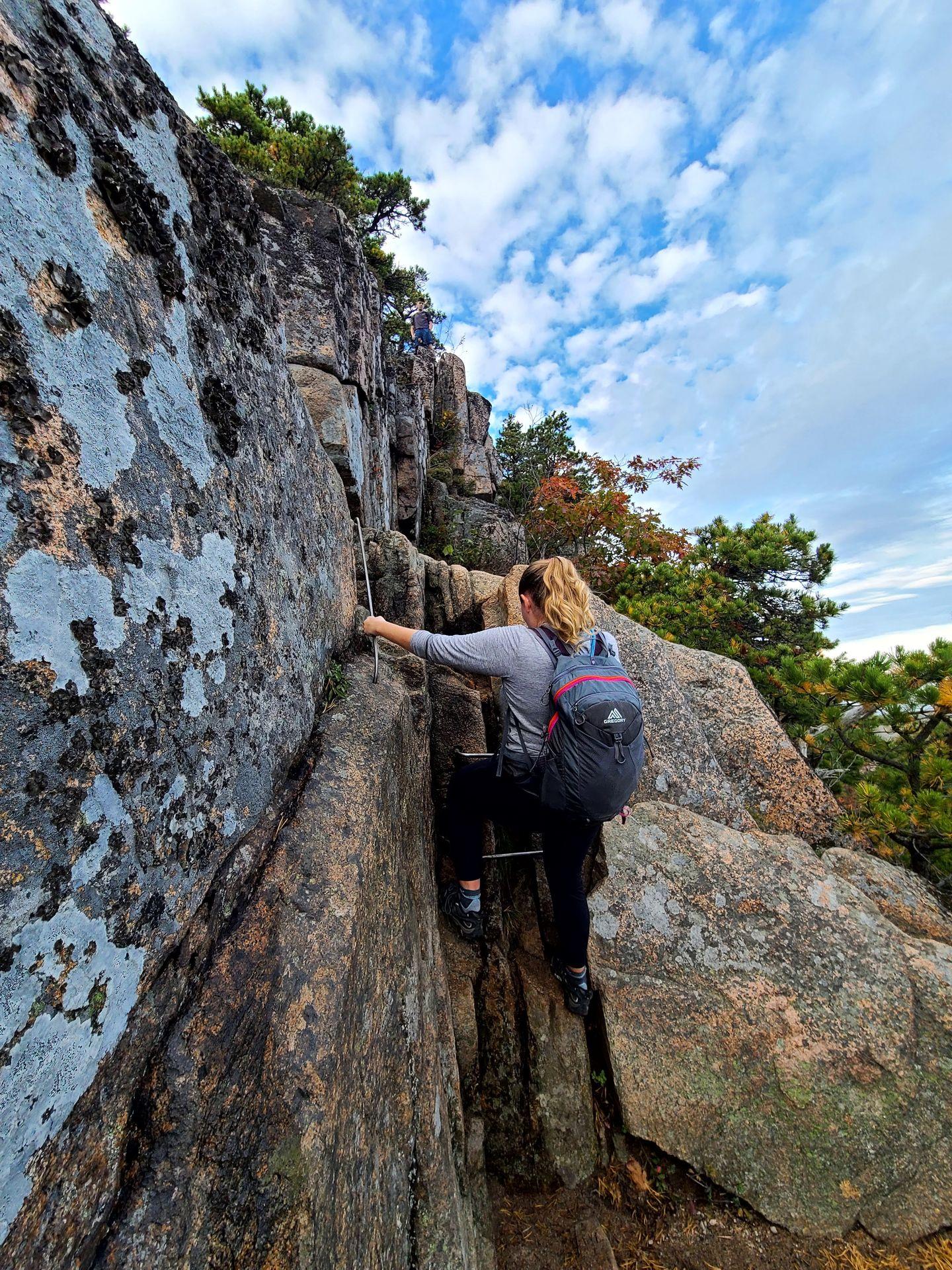 Lydia climbing up ladders on the Beehive Trail