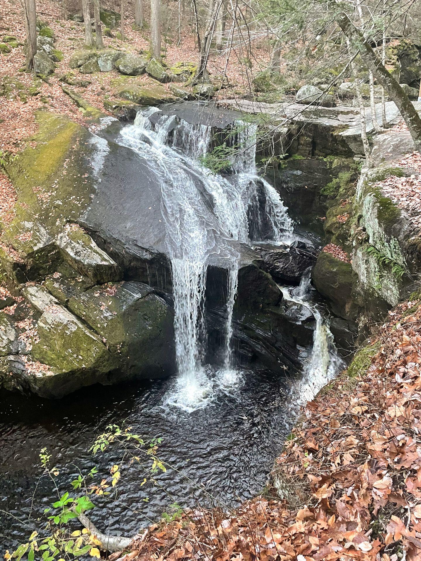 A waterfall cascading down rocks along a small stream in the forest.