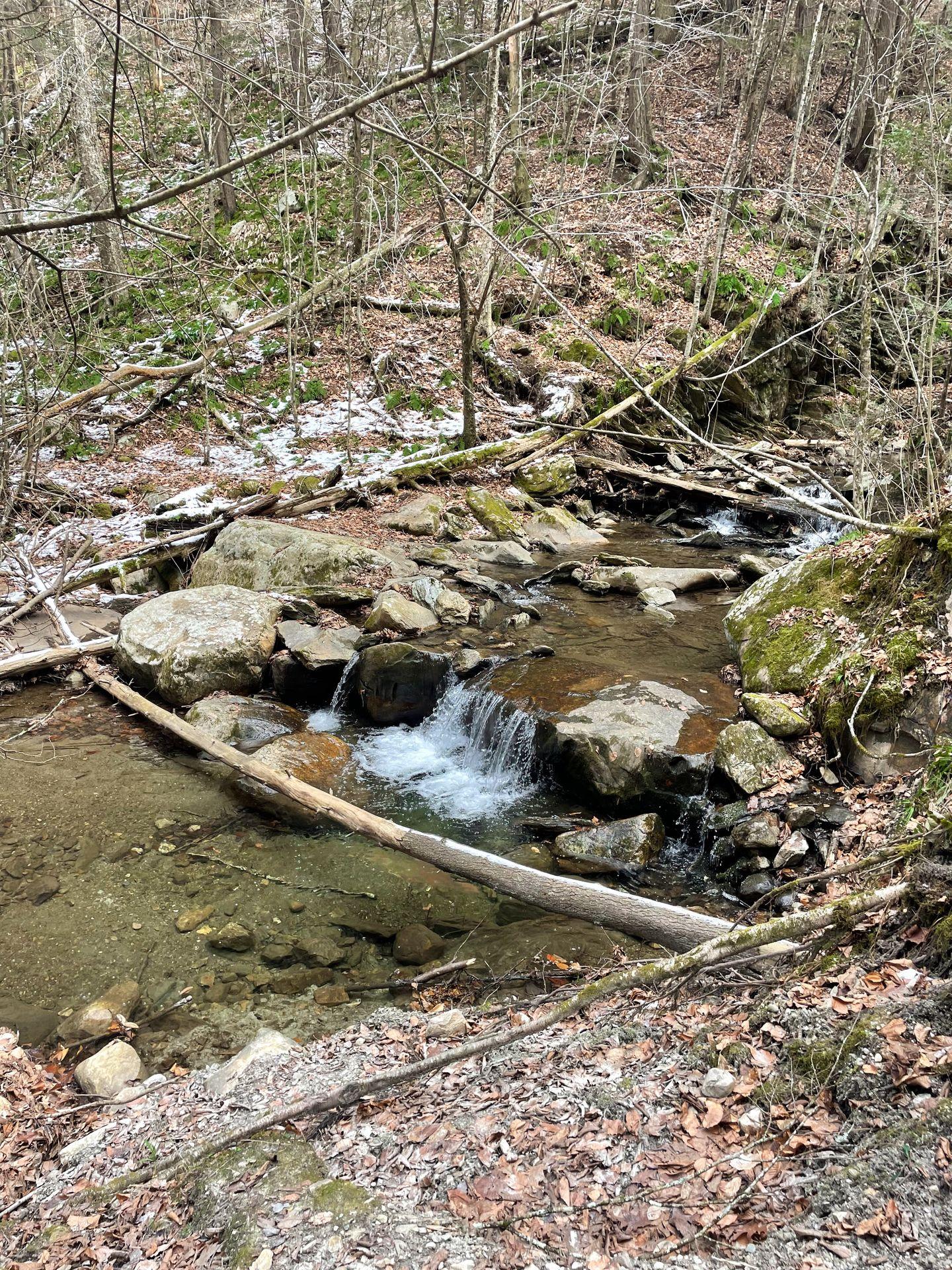 A tiny waterfall in a stream on the way to Cascade Falls