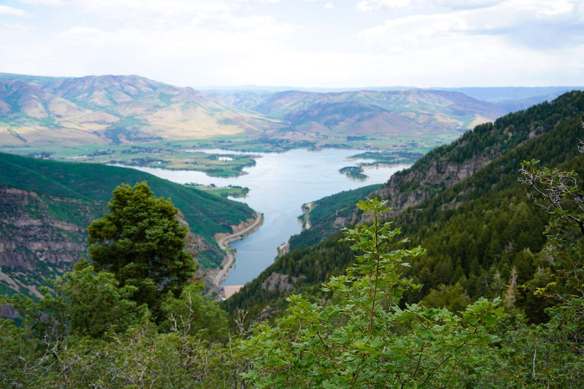 A large lake surrounded by greenery from the Sardine Peak trail.