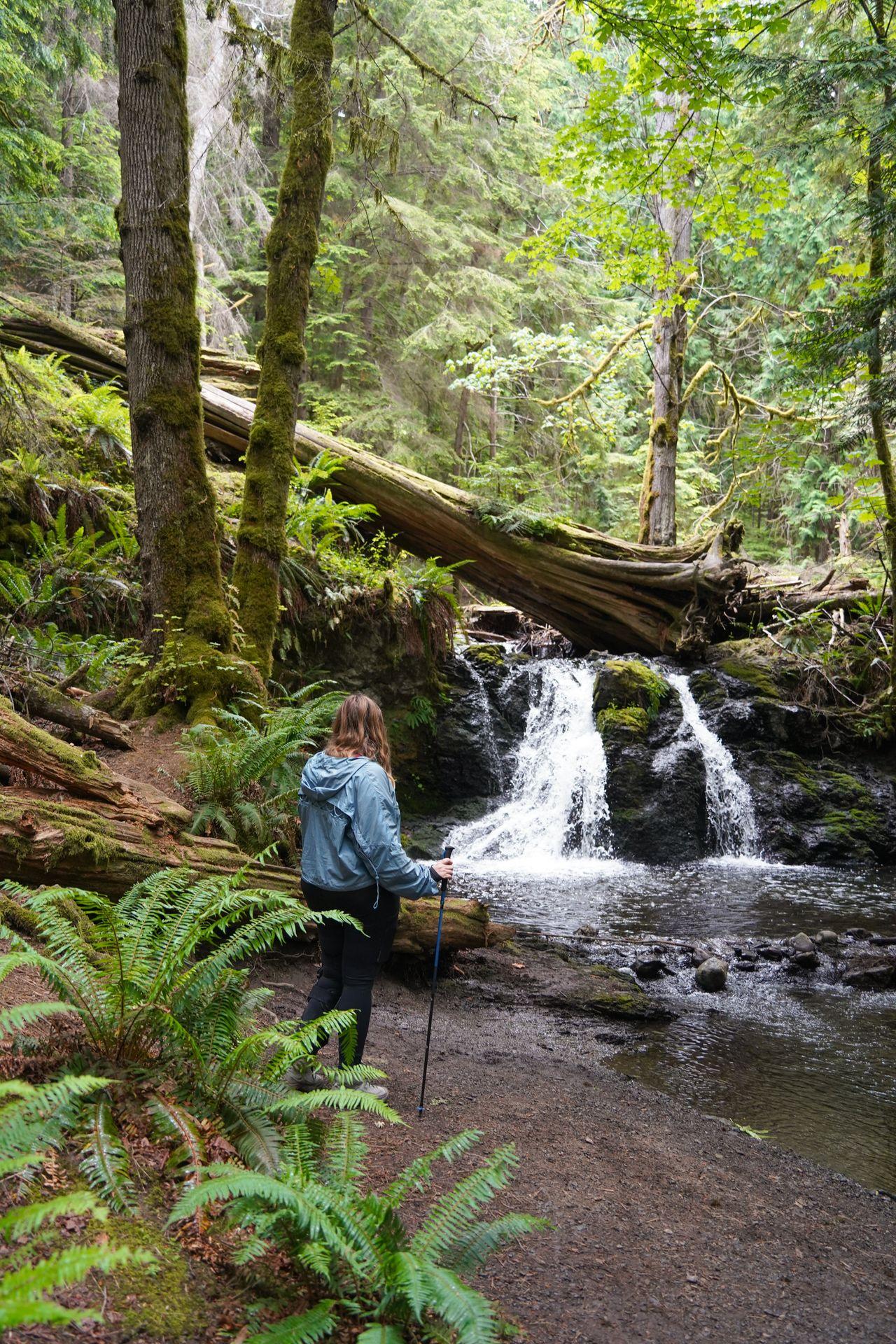 Lydia looking at a small waterfall in Moran State Park