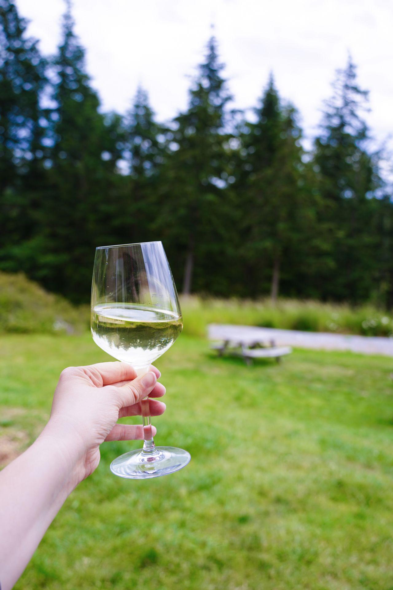 Holding up a glass of white wine at Orcas Island Winery