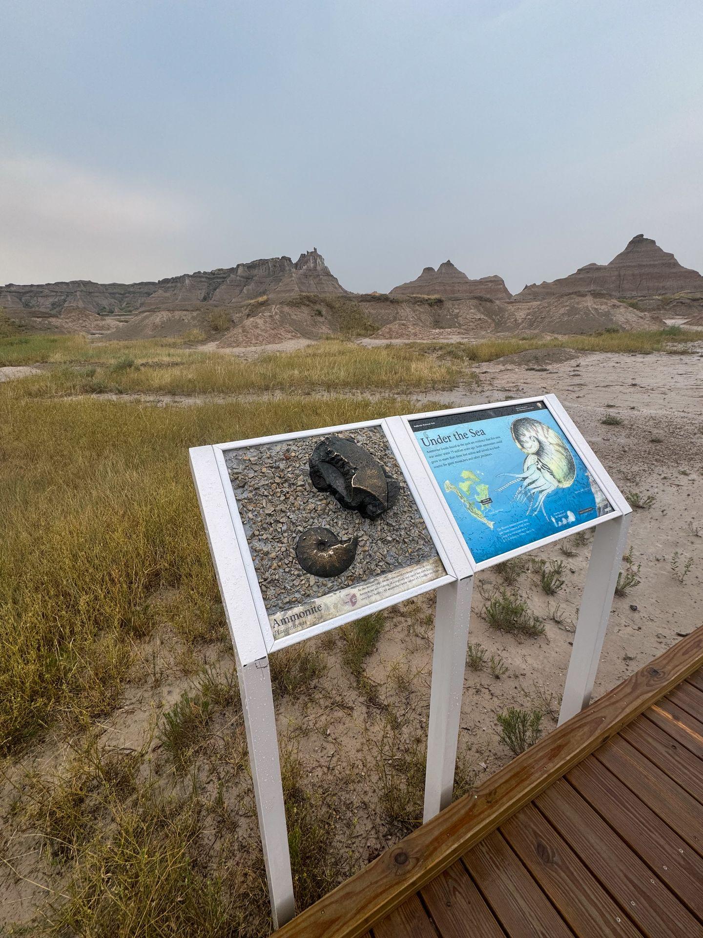 A display with fossil information along the Fossil Exhibit Trail