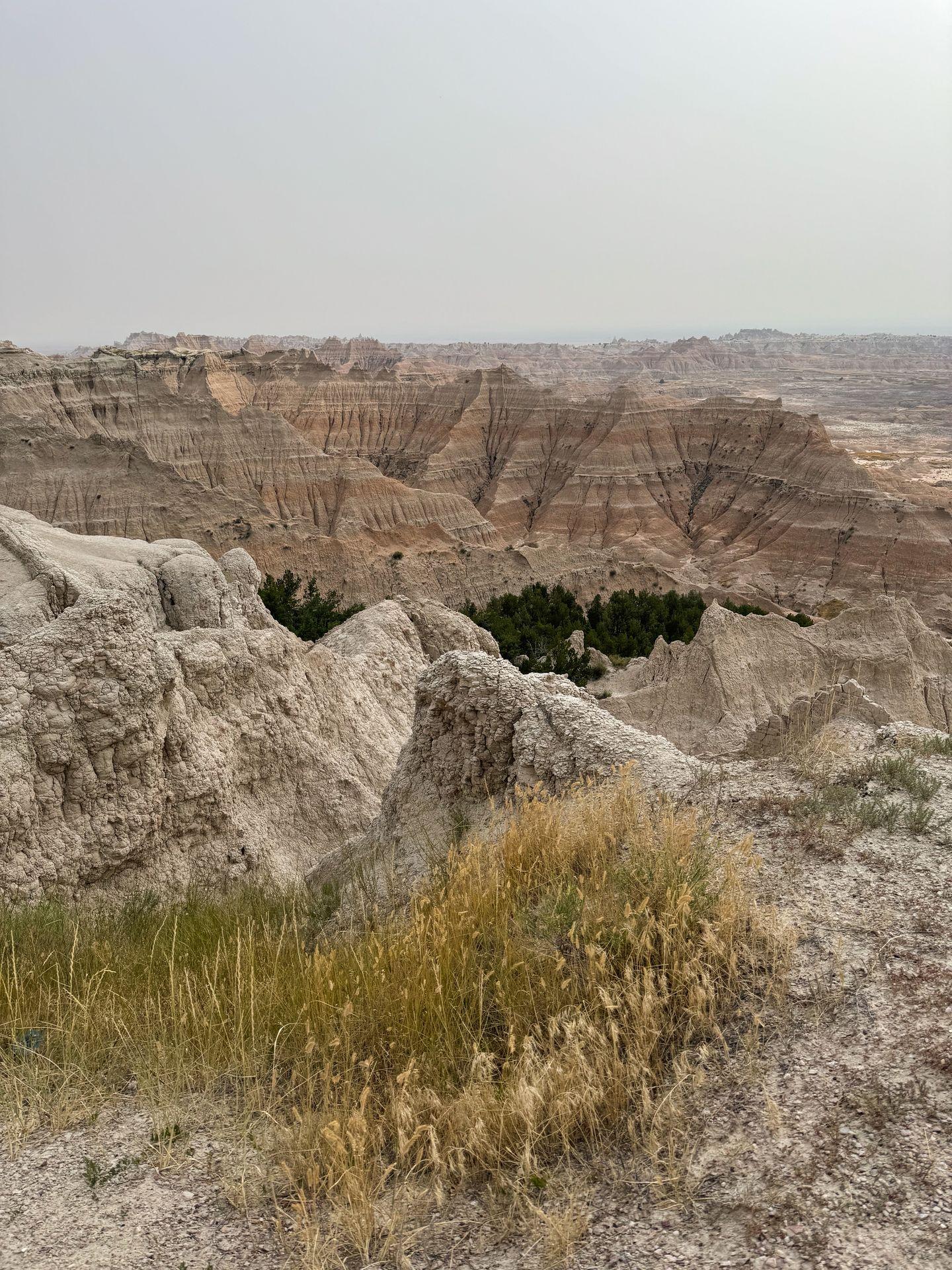 A view of striped rocks with trees in the valley below from the Pinnacles Overlook