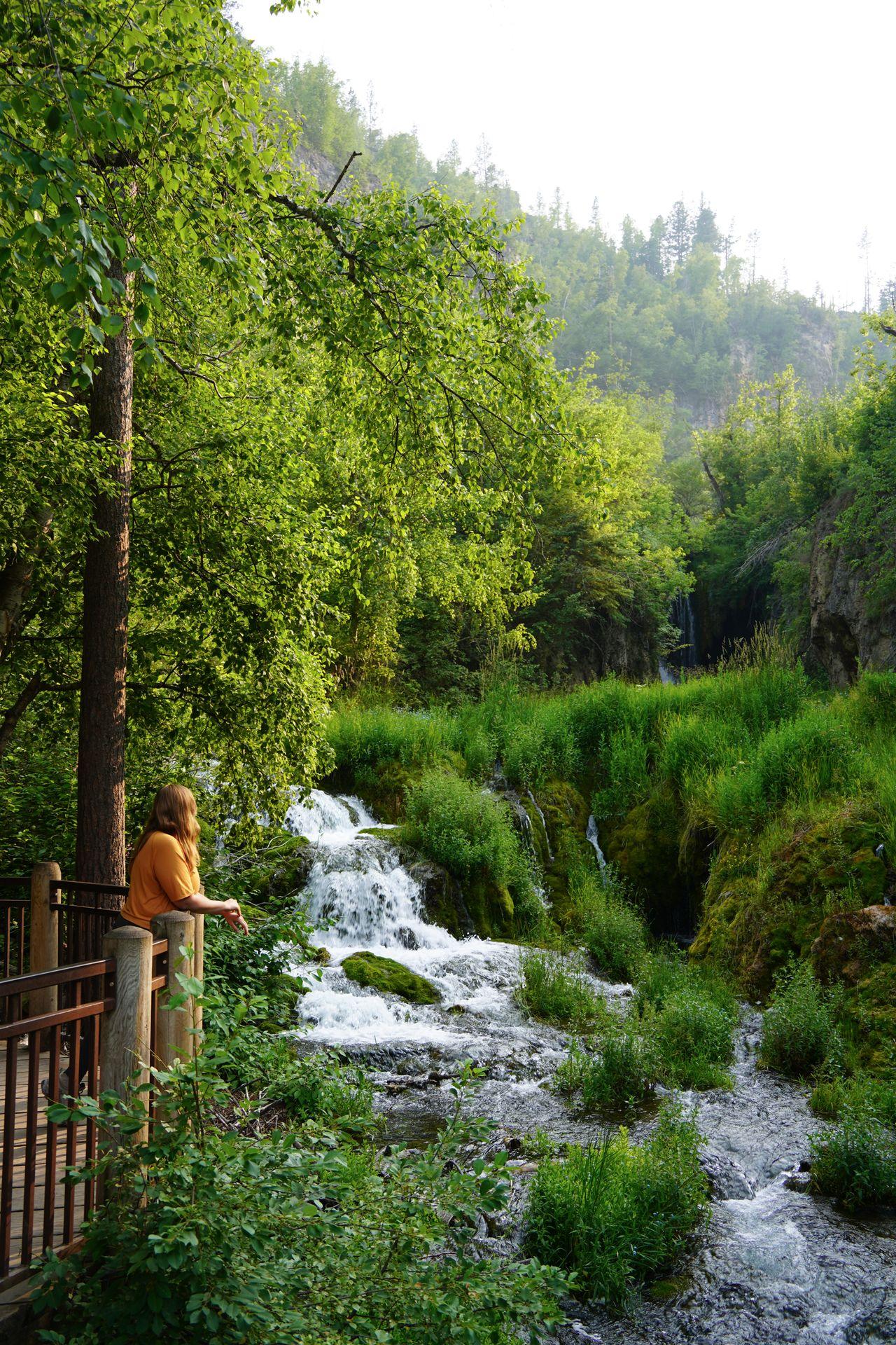 Lydia admiring a waterfall and greenery at Roughlock Falls