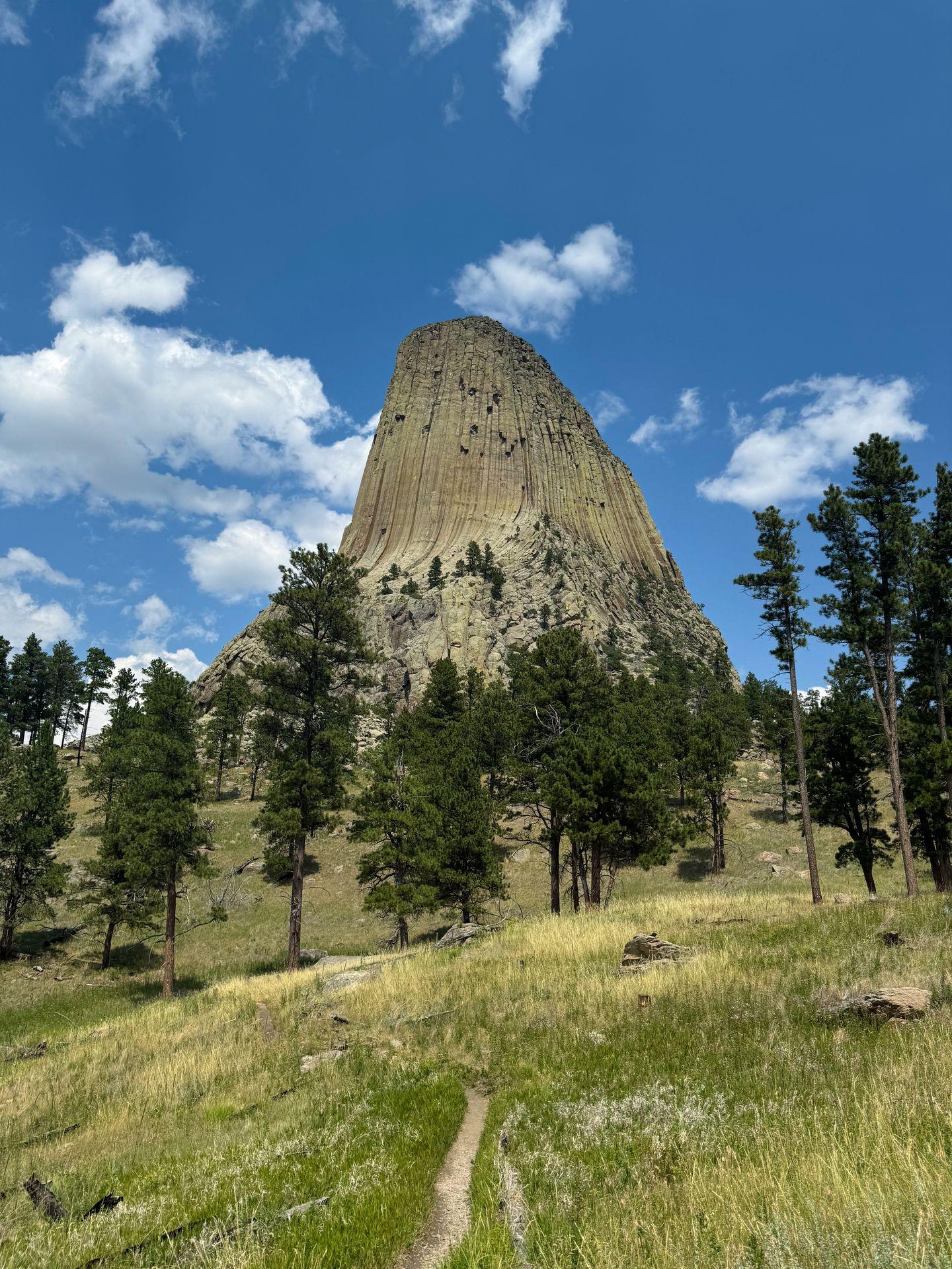 A view of Devil's Tower from the Red Beds Trail