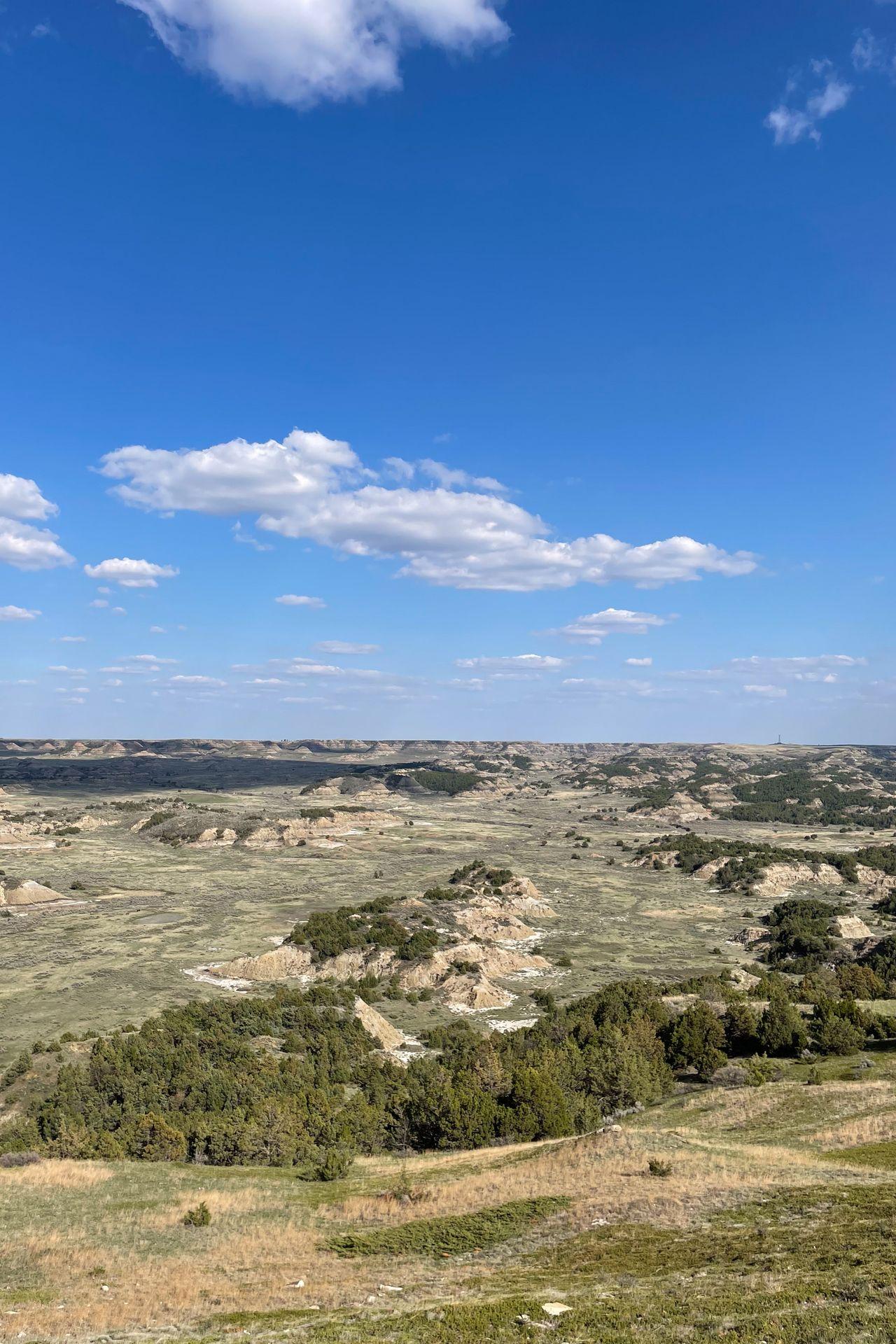 A scenic view with grass and rocks seen from Buck Hill