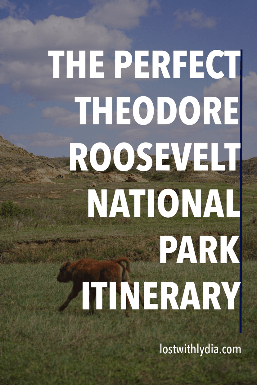 Discover all of the best things to do in Theodore Roosevelt National Park! From overlooks to wildlife to hiking trails, this itinerary has you covered.