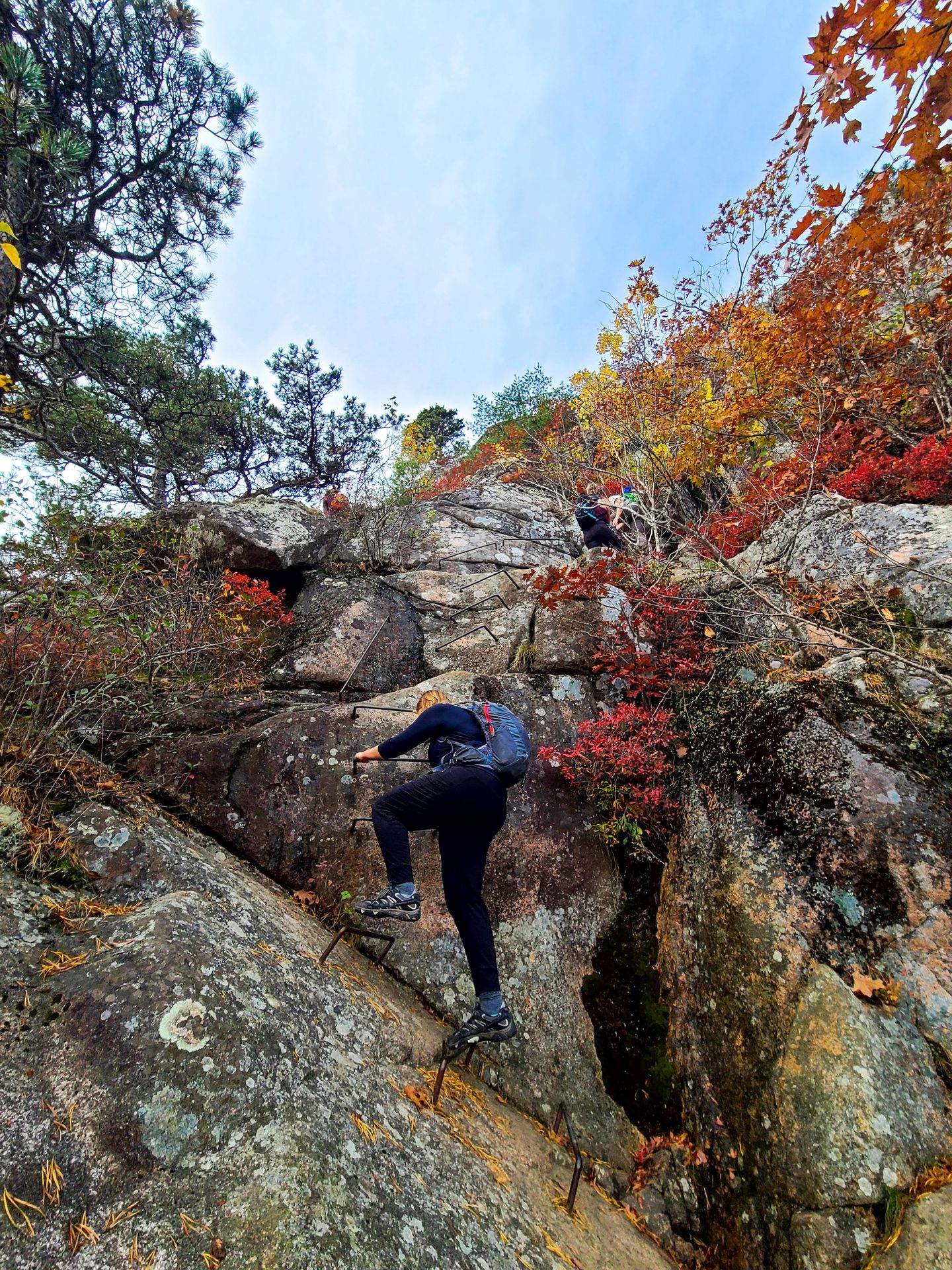Lydia climbing up metal rungs on the Precipice Trail.