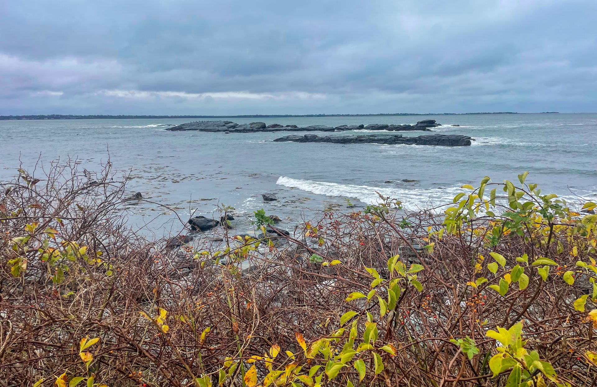 A view of the ocean with a few jagged rocks. In the foreground, there are branches with a few yellow leaves.