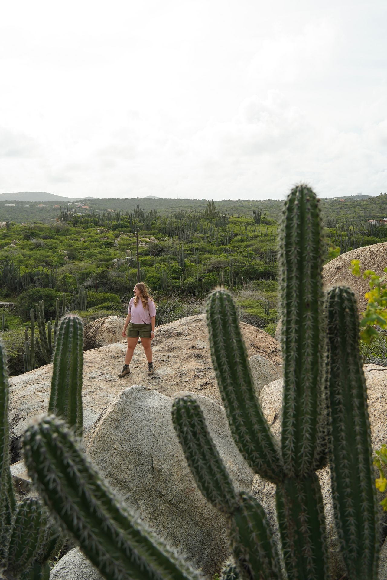 Lydia standing on a rock, framed by cacti