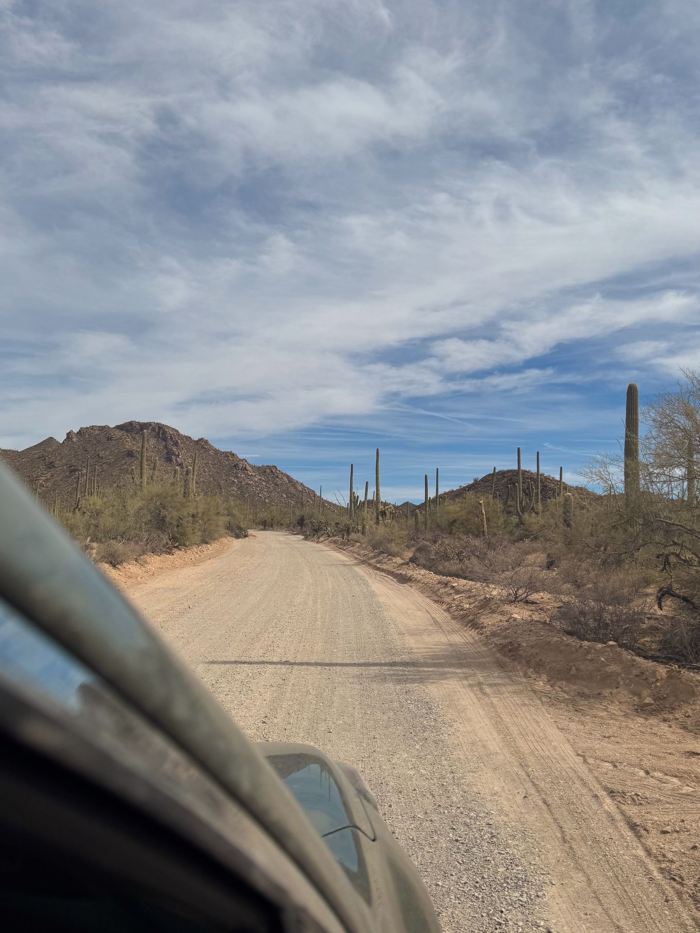 An unpaved road that travels next to cacti and towards mountains in the distance