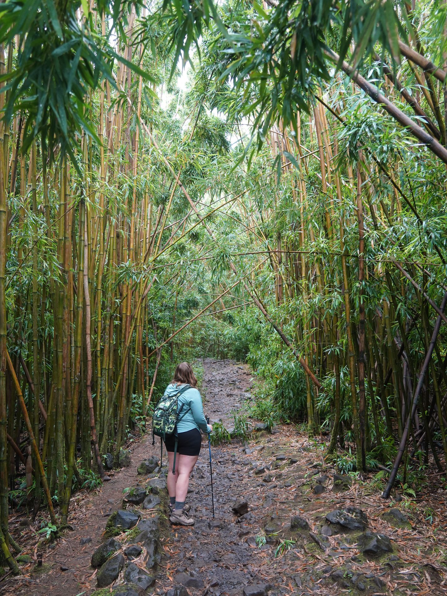 Lydia on the Pipiwai Trail, which is framed by huge bamboo stalks on both sides