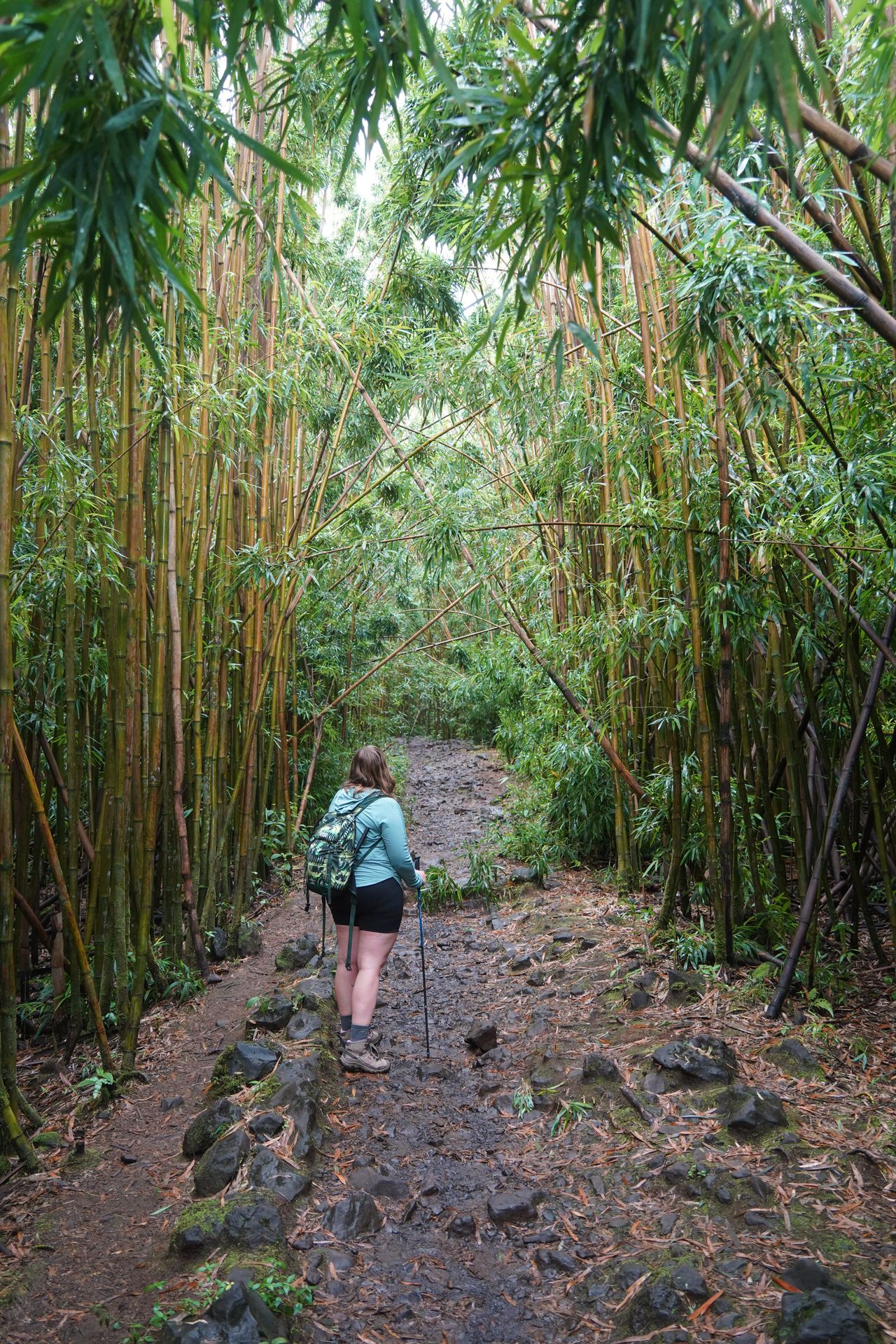 Lydia standing on a trail that is surrounded by tall bamboo on both sides