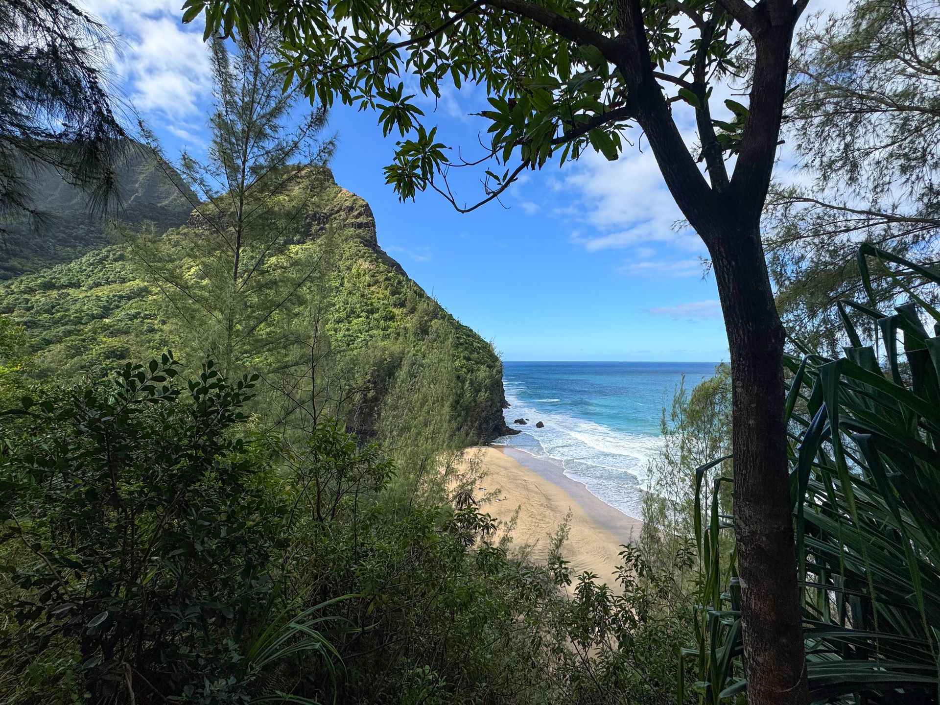 Overlooking Hanakapi'ai Beach from a trail above. The sandy beach sits in a cove.