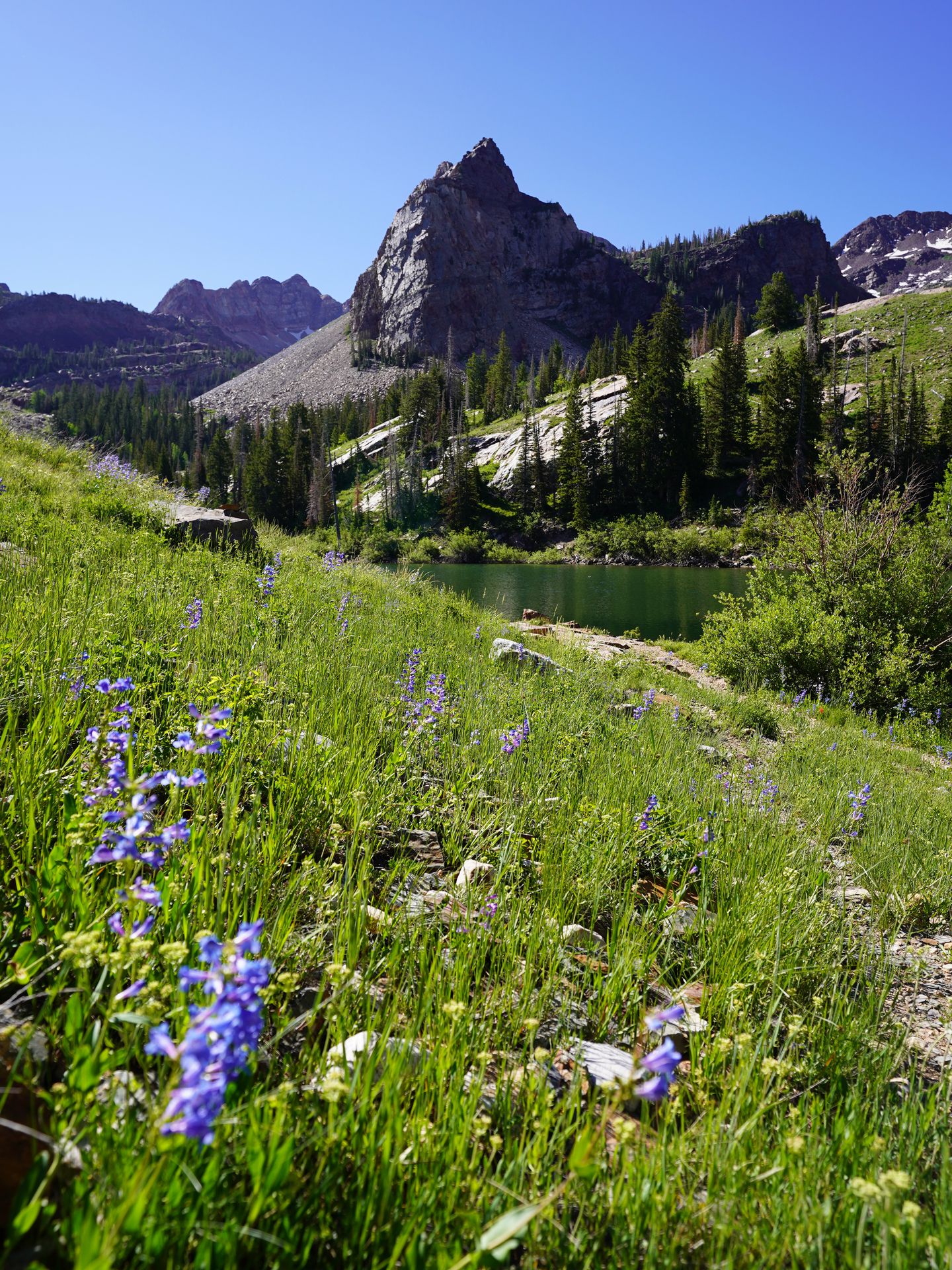 Green grass and some flowers in front of Lake Blanche with a mountain in the distance.