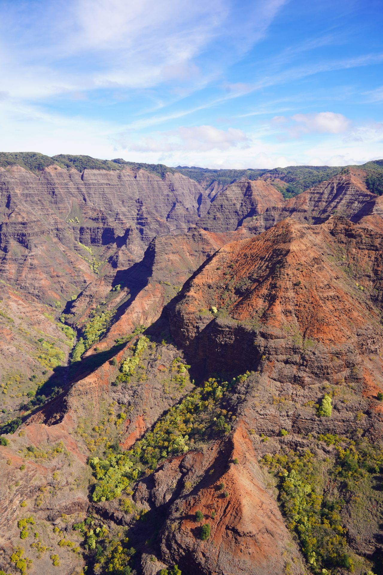 Looking down at the reddish cliffs of Waimea Canyon from above