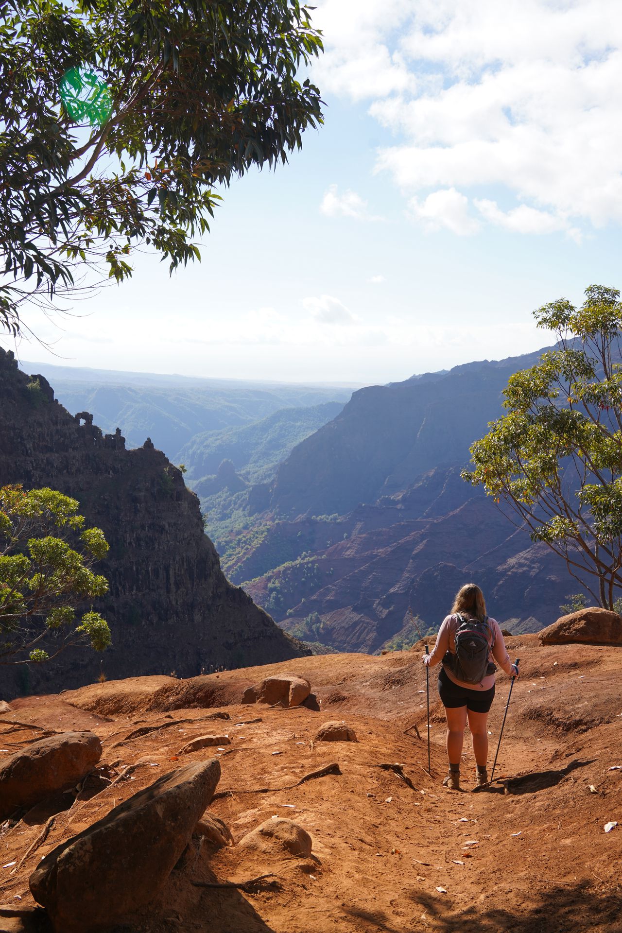 Lydia standing with hiking poles and looking out into Waimea Canyon