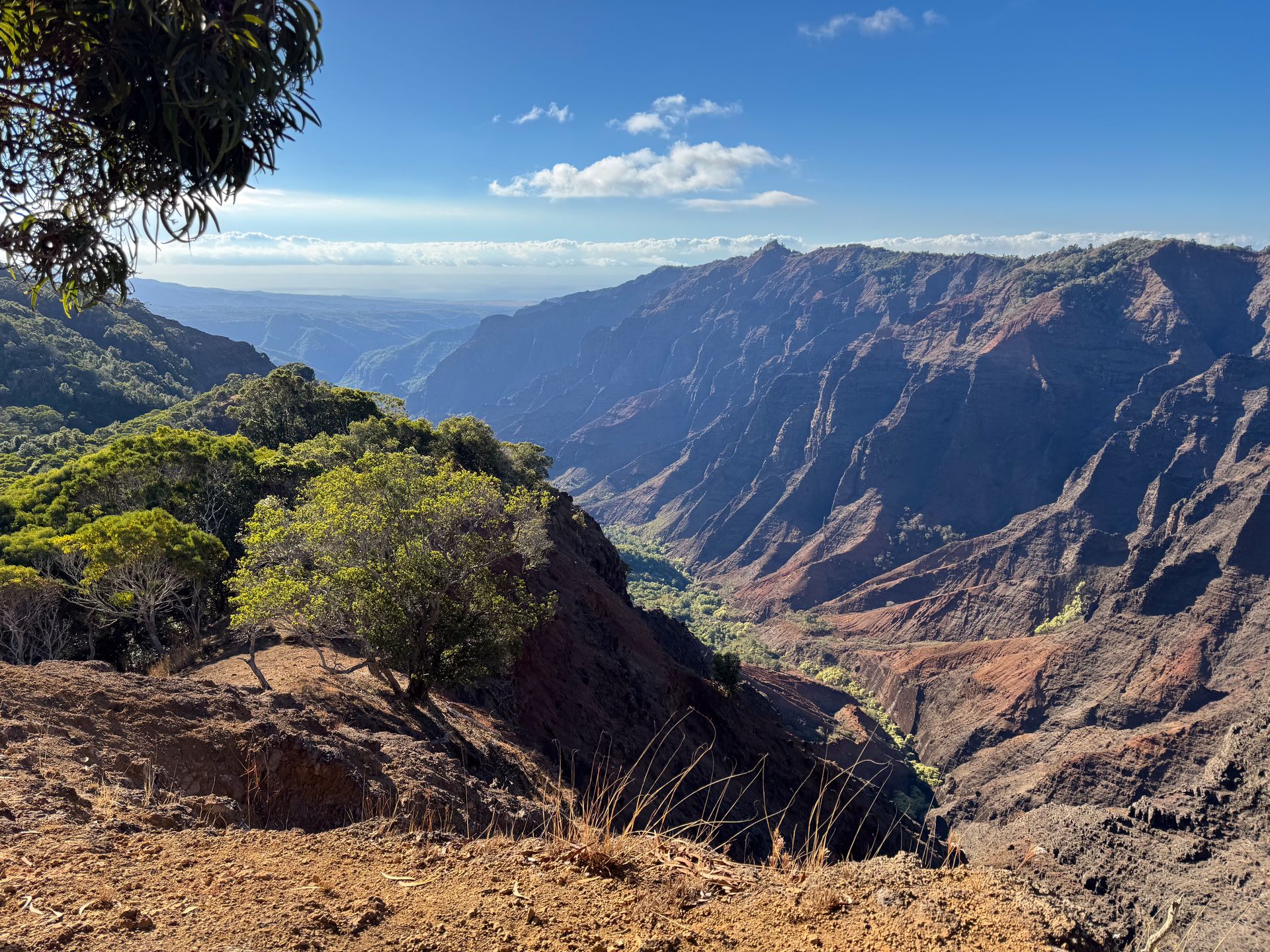 A view into Waimea Canyon with a green river flowing at the bottom of the canyon